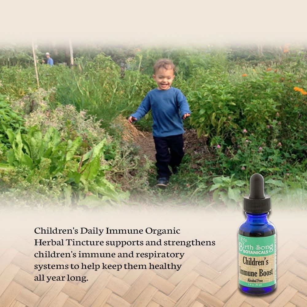 Birth Song Botanicals Co. Tinctures Default Children’s Herbal Tincture – Organic Echinacea Blend (1 oz)