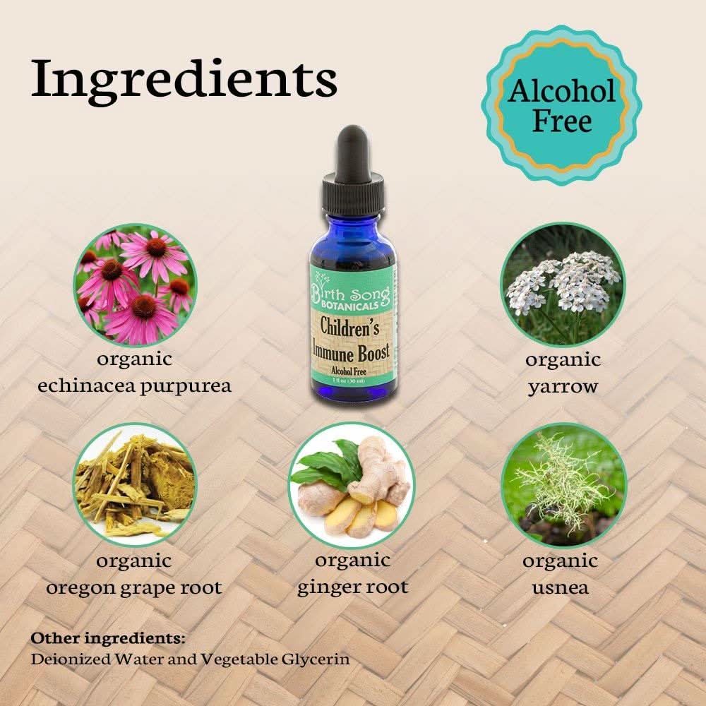 Birth Song Botanicals Co. Tinctures Default Children’s Herbal Tincture – Organic Echinacea Blend (1 oz)