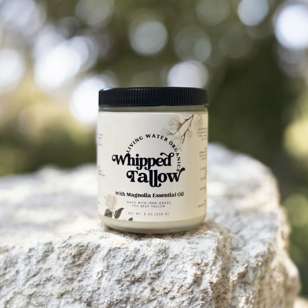 Living Water Organics 1 / Magnolia Whipped Grass-Fed Tallow for Face & Body