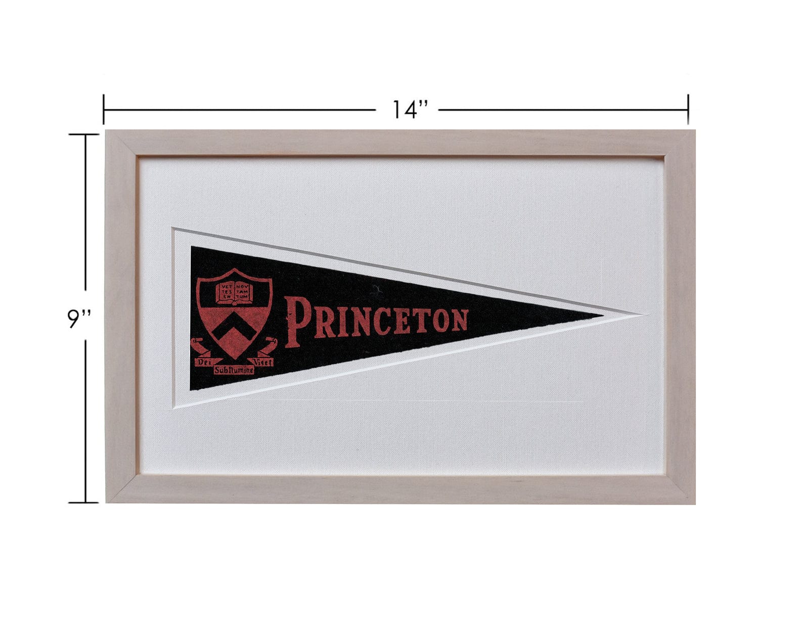 Americana Memories Vintage Princeton University Hormel Pennant