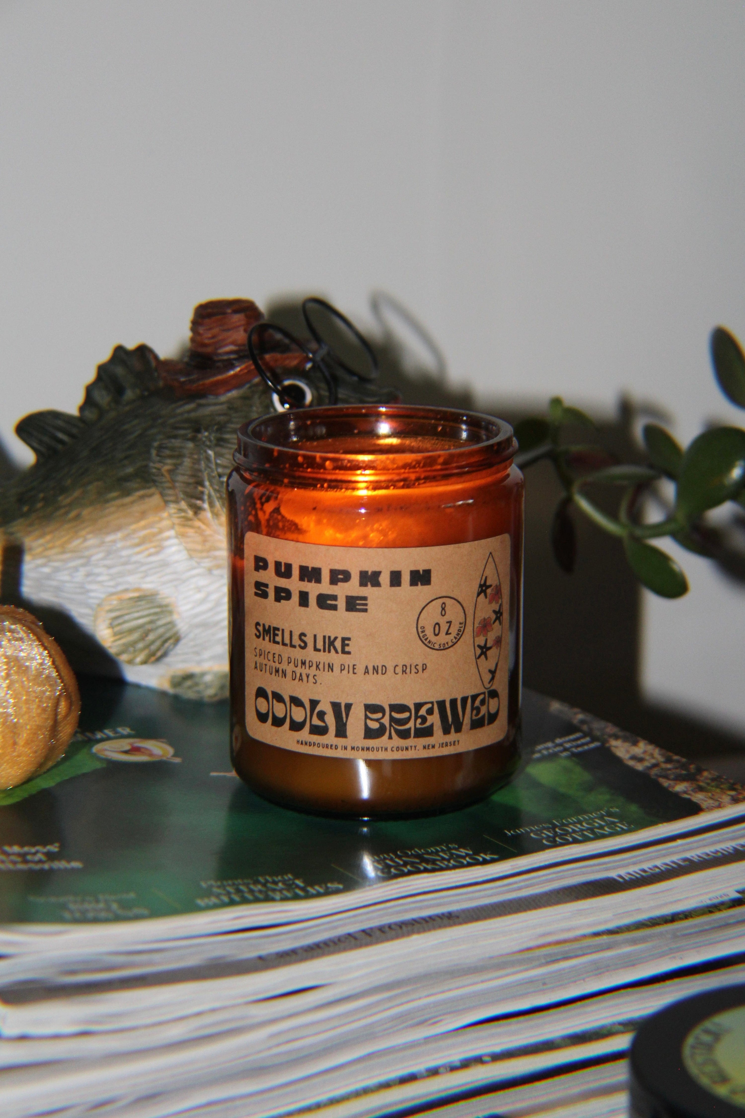 Oddly Brewed Soy candle Medium 8oz Pumpkin Spice Soy Candle