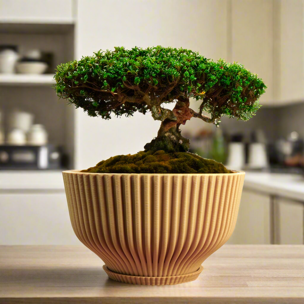 Bonsai Pot with Drainage & Tray - My American Goods