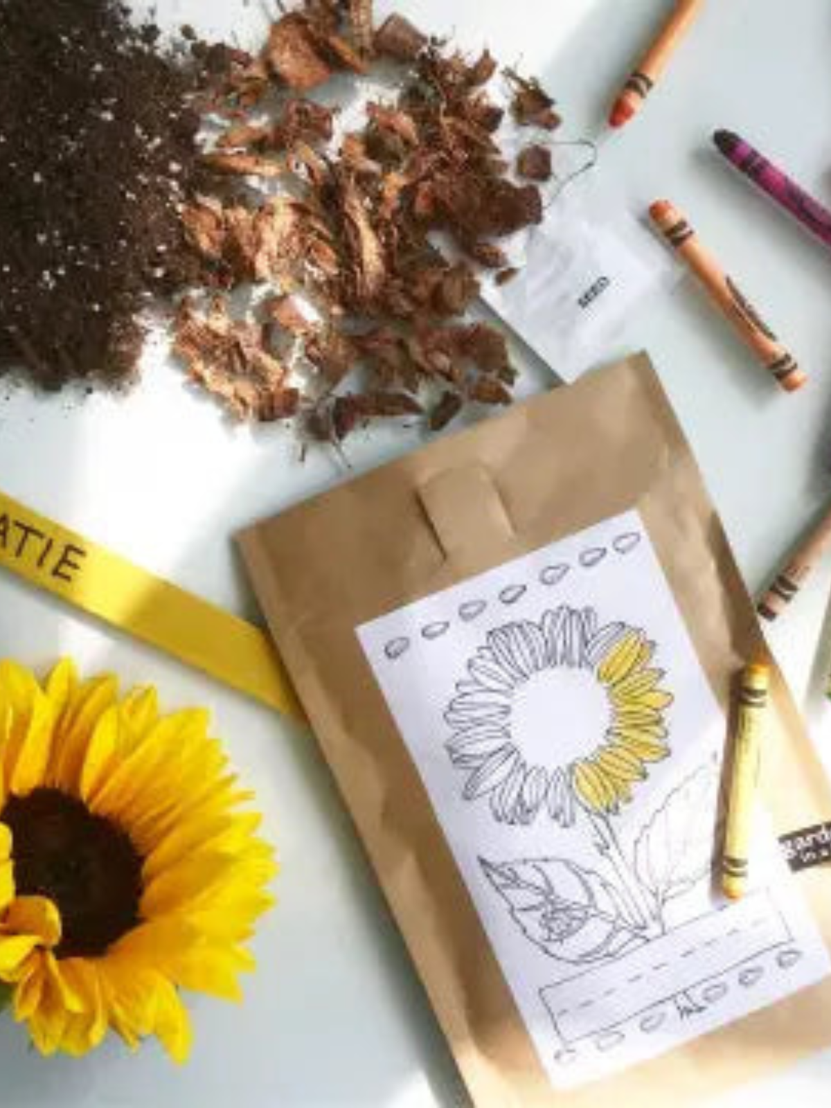 Garden in a Bag - Kids - My American Goods