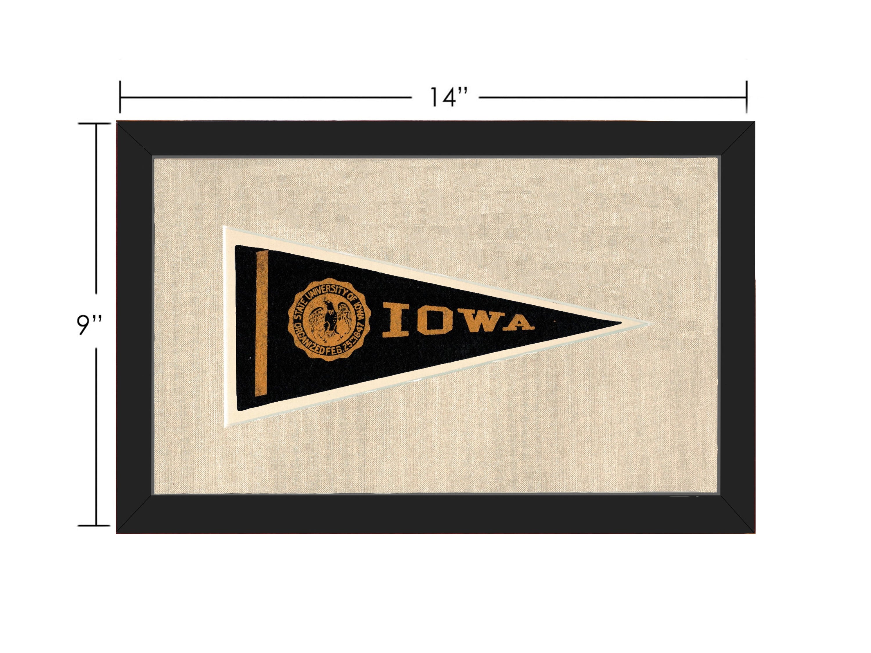 Vintage University of Iowa Pennant