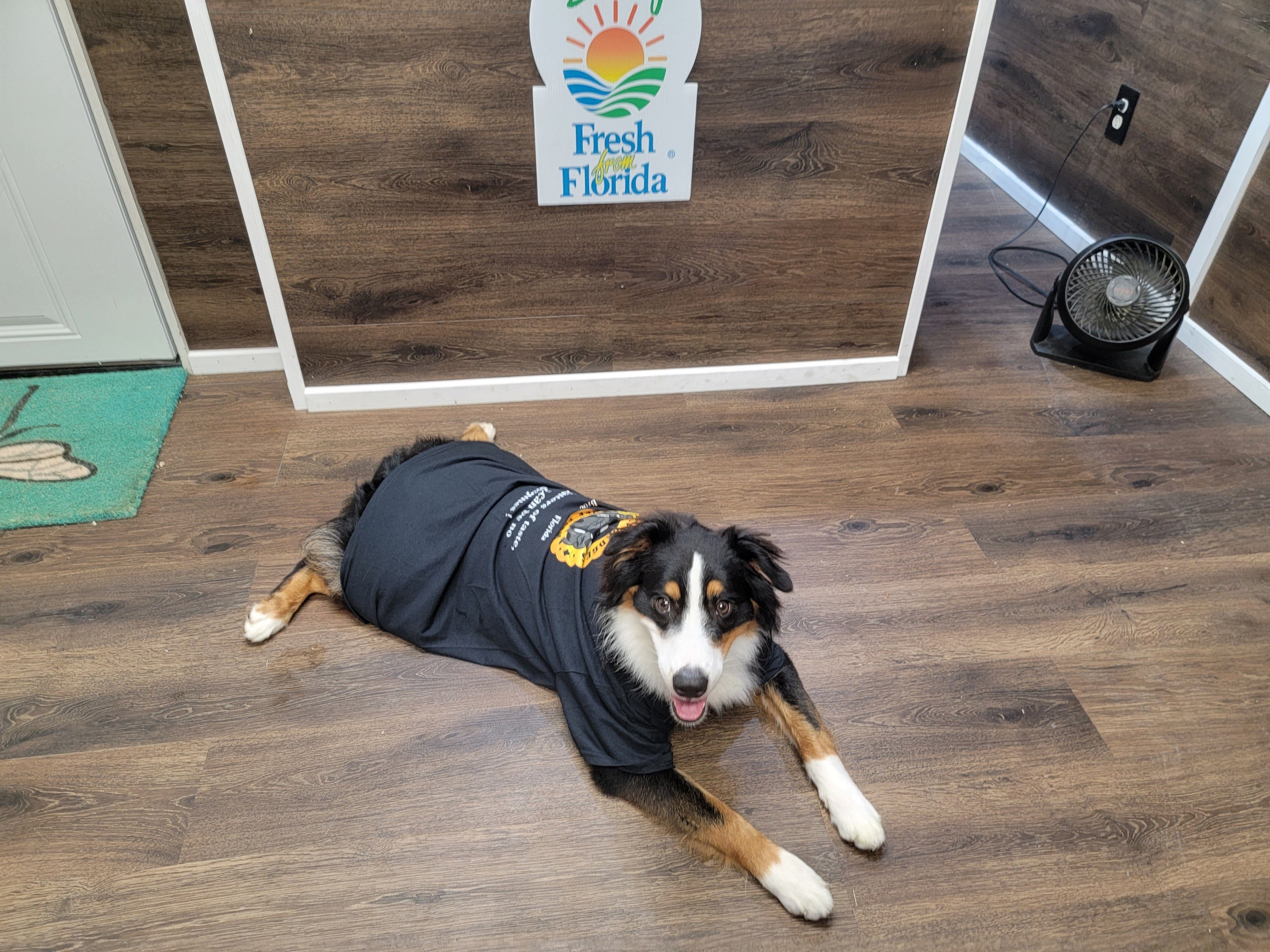 Hibiscus & Rose Honey - My American Goods