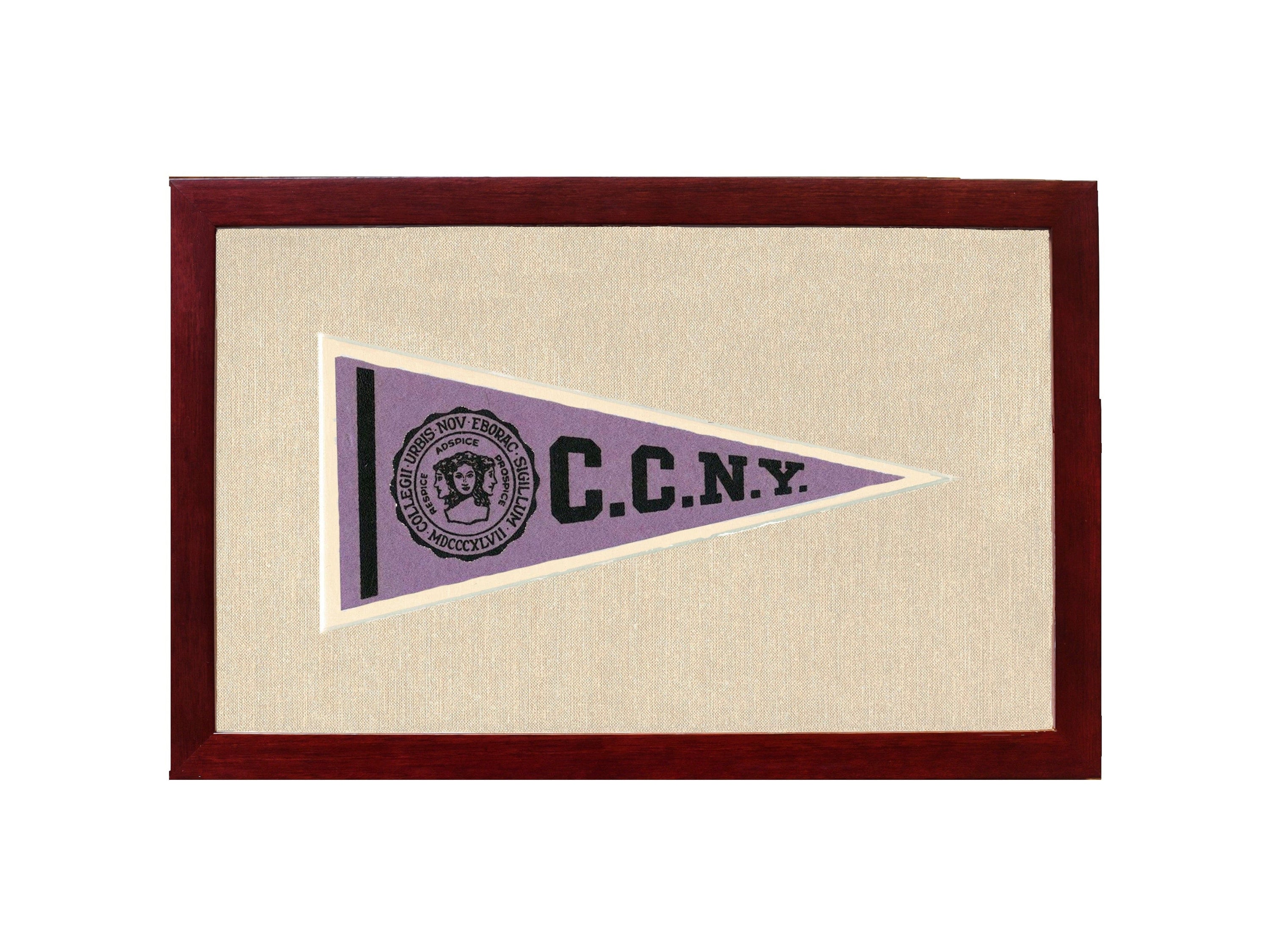 Americana Memories Vintage Pennants and Memorabilia Vintage City College of New York Pennant