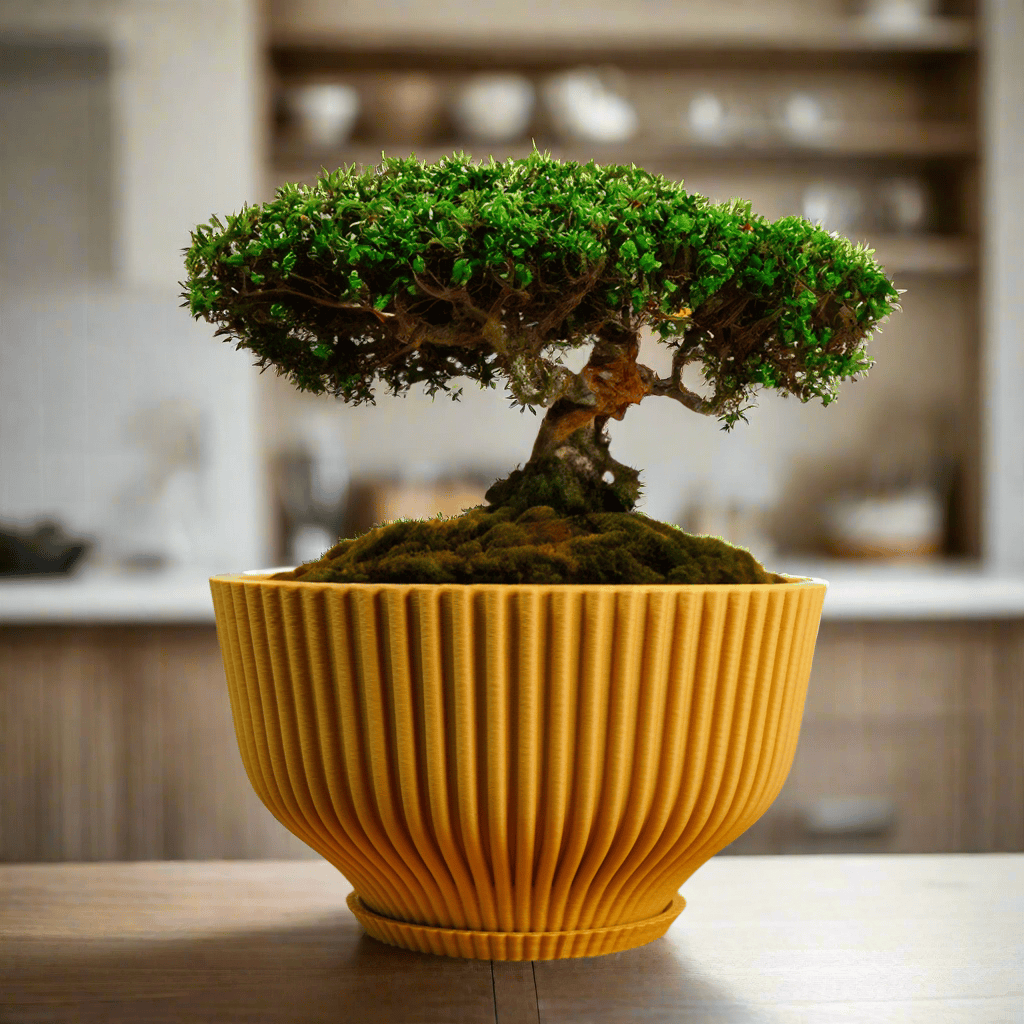 Bonsai Pot with Drainage & Tray - My American Goods
