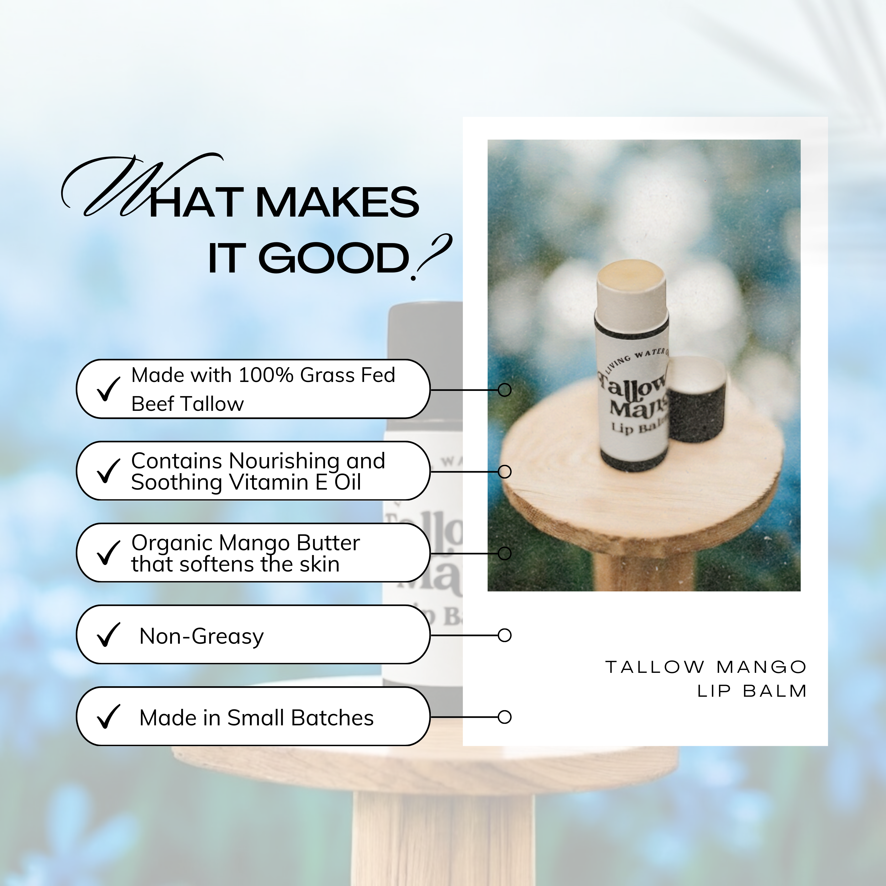 Tallow and Mango Lip Balm - My American Goods