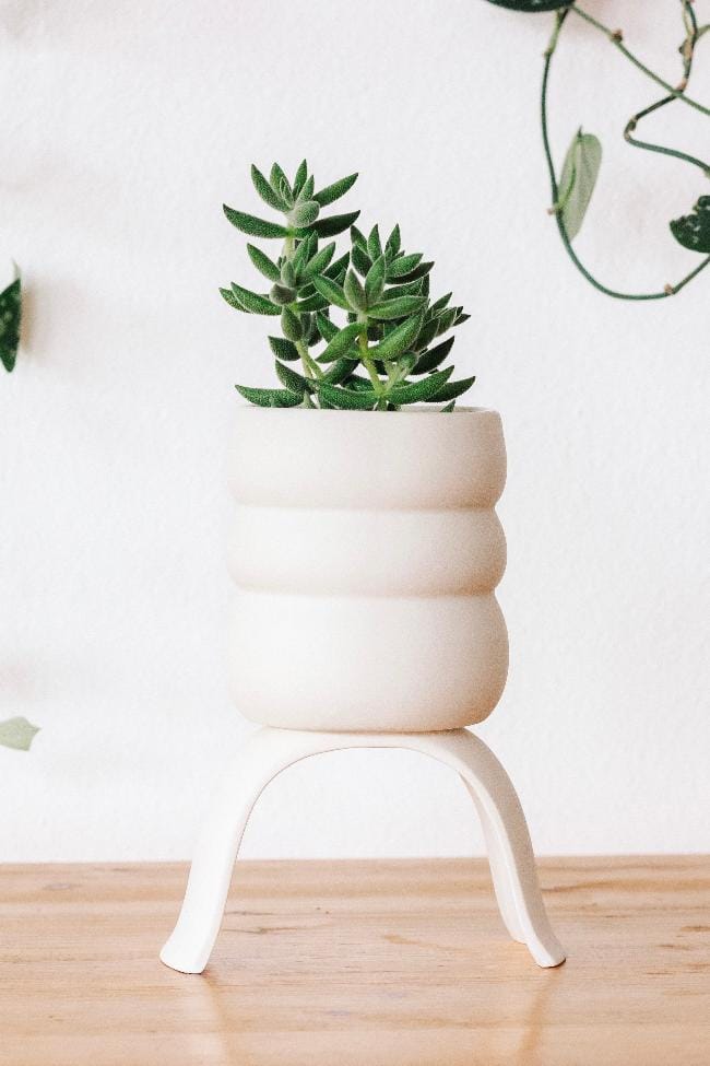 Carter + Rose Home & Garden Medium Wiggle Ceramic Footed Plant Pots