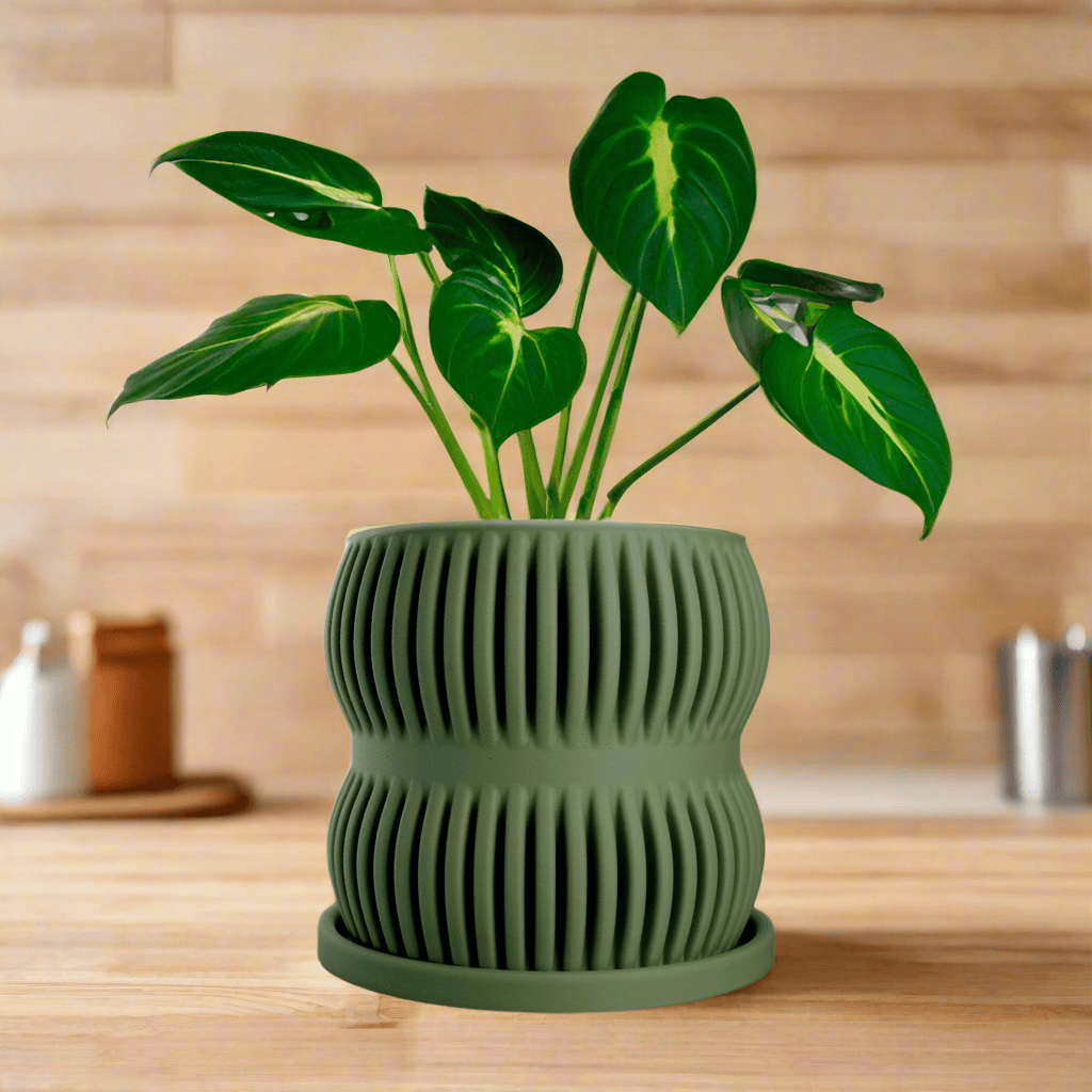 Aureus Planter with Drainage - My American Goods
