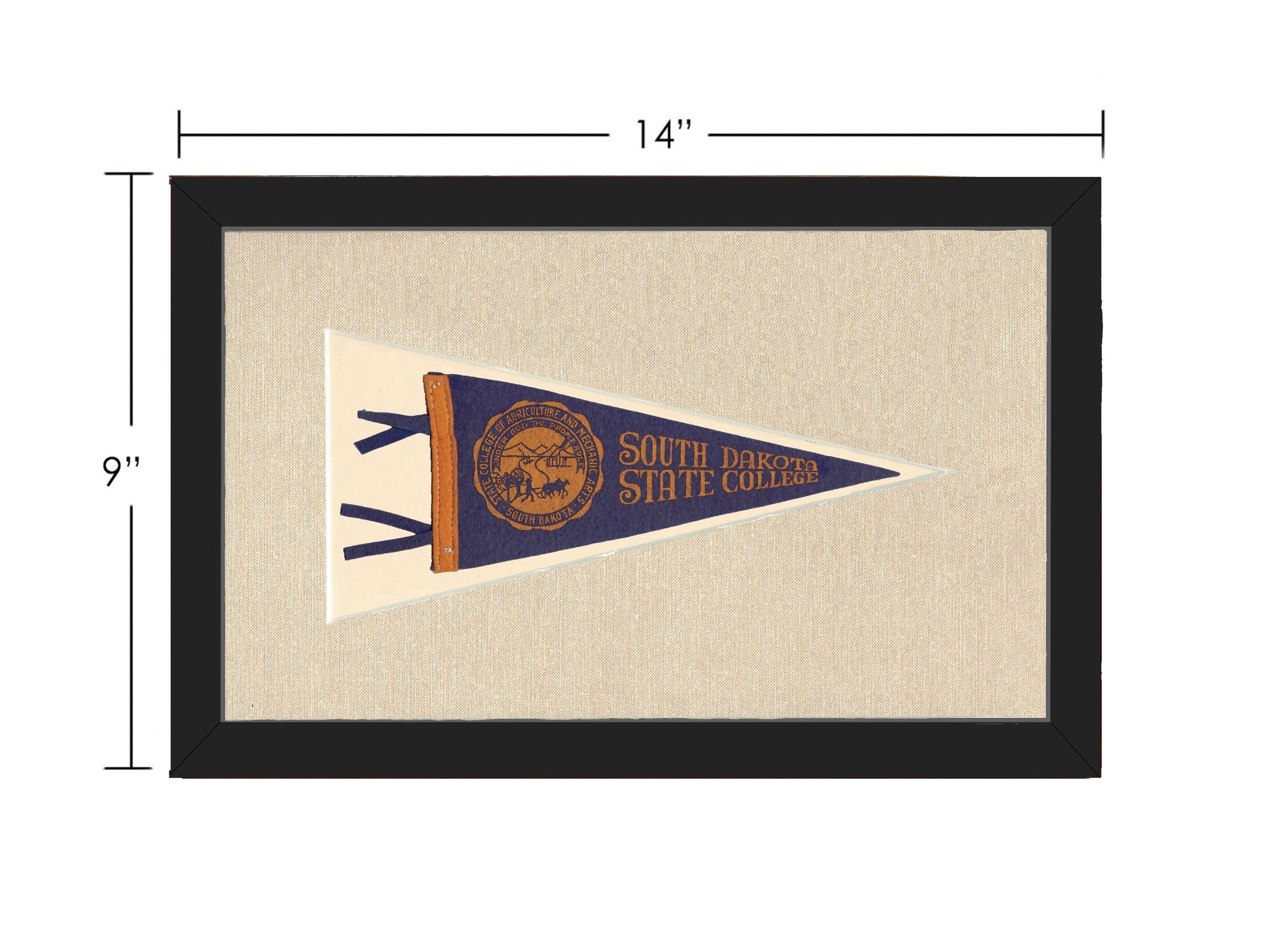 Americana Memories Vintage Pennants and Memorabilia Vintage South Dakota State College Pennant