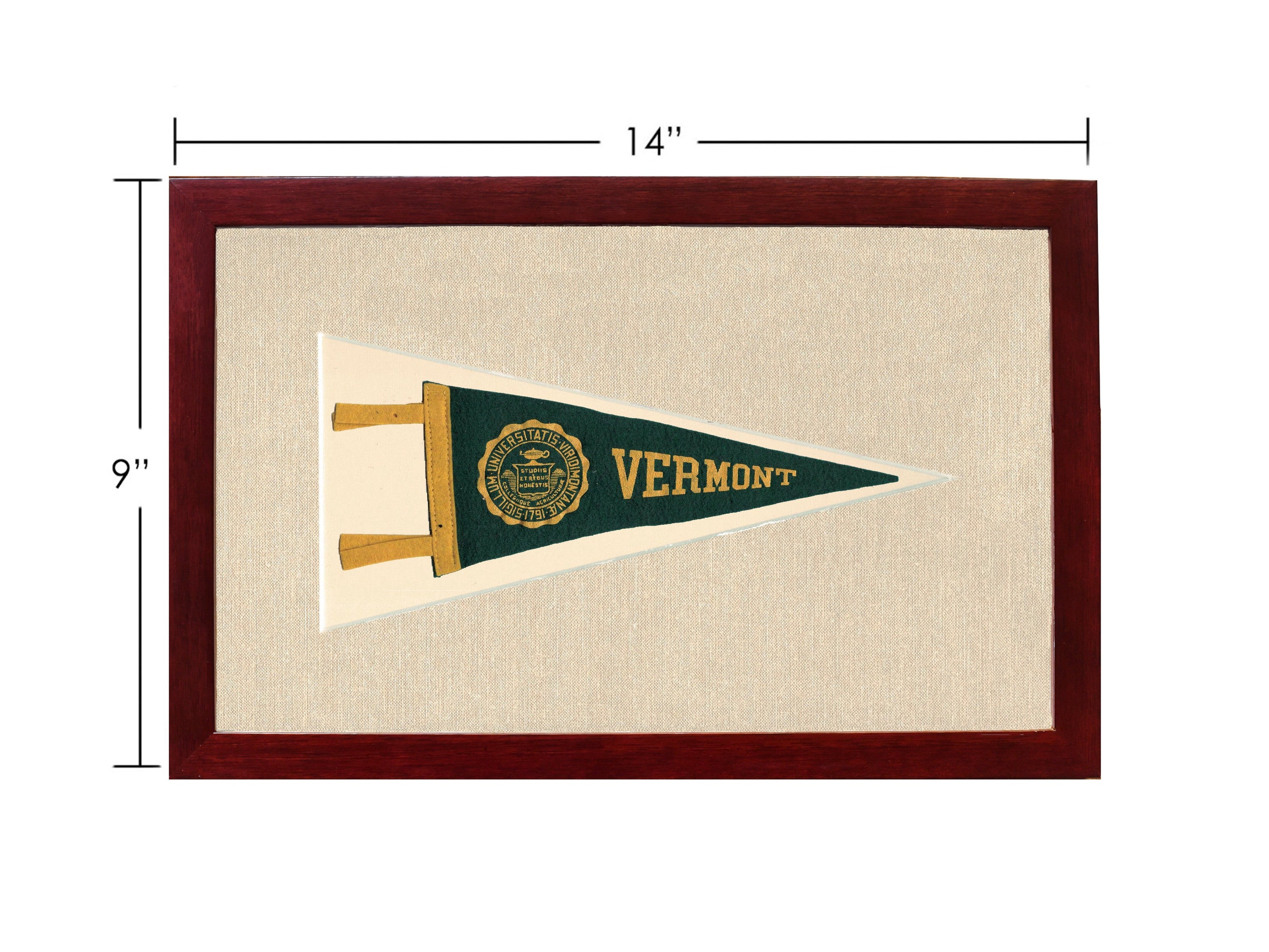 Vintage Vermont University Pennant
