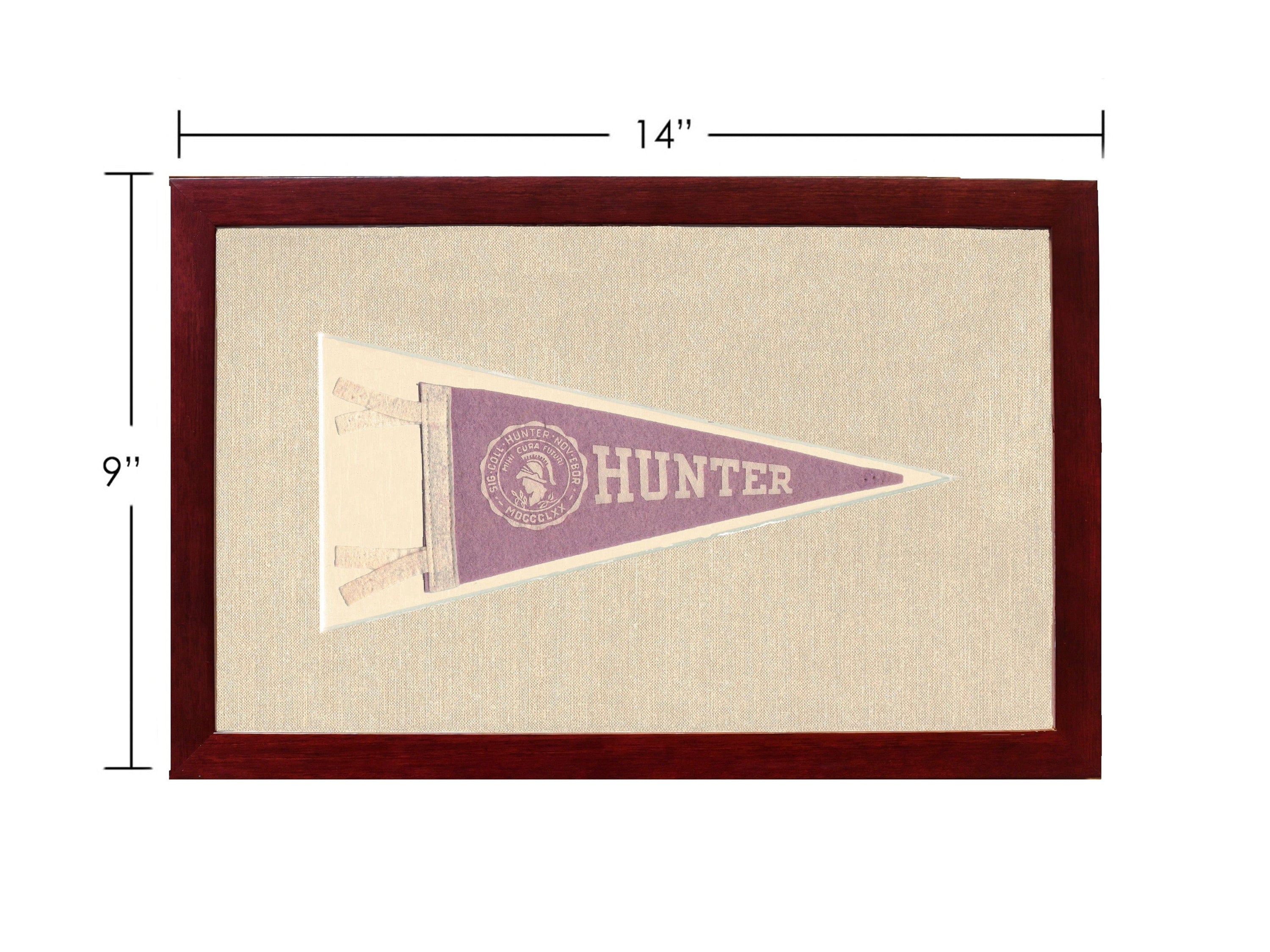 Americana Memories Vintage Pennants and Memorabilia Vintage Hunter College Pennant