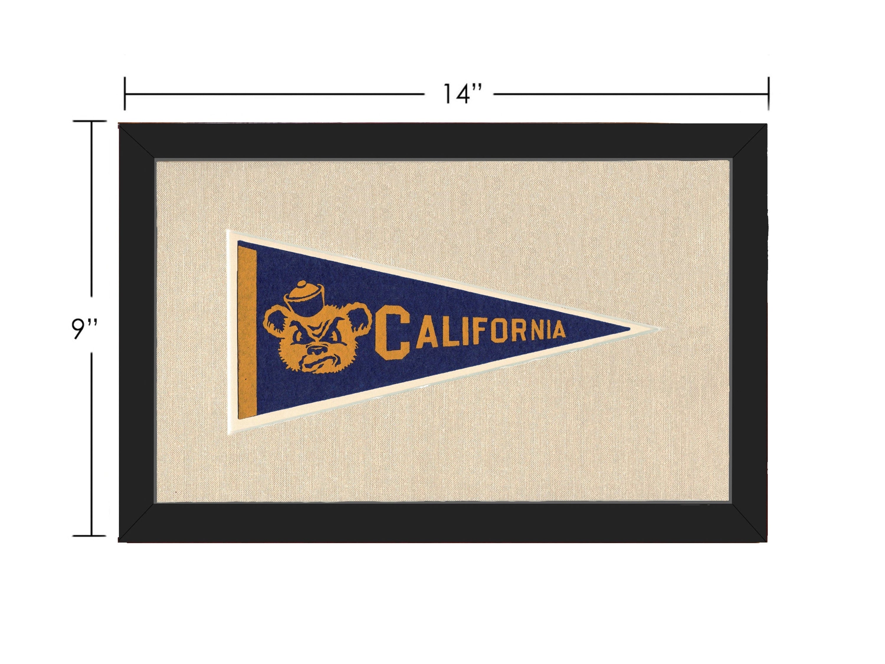 Americana Memories Vintage Pennants and Memorabilia Vintage University of California Pennant