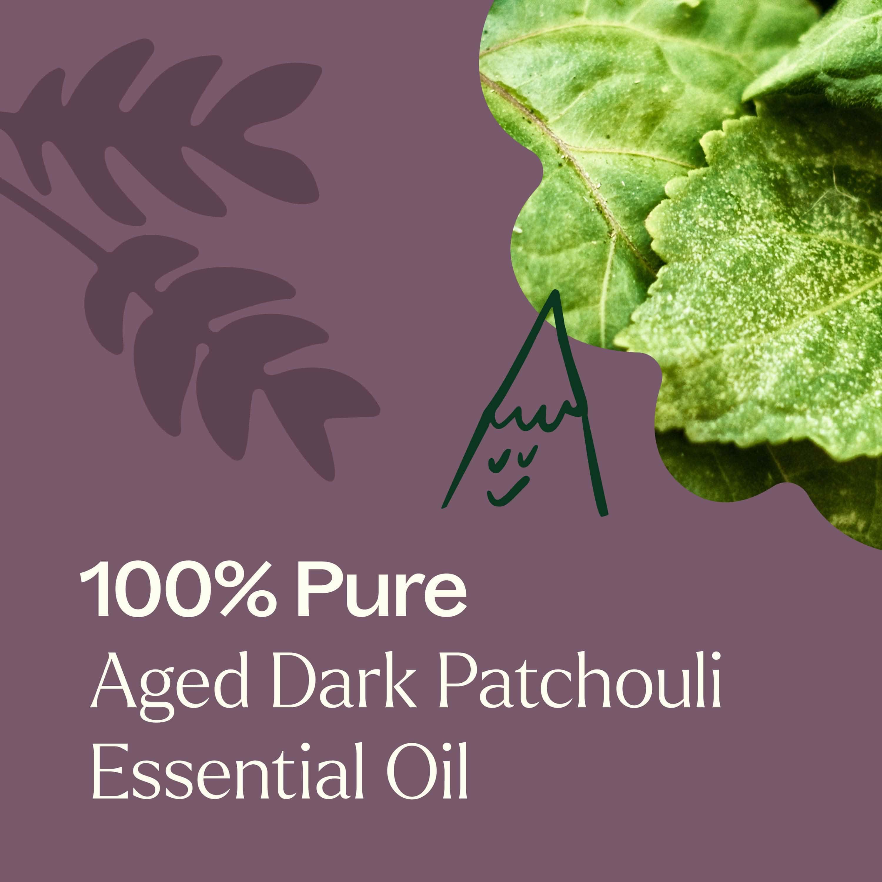 Plant Therapy Essential Oil 10 ml Aged Dark Patchouli Essential Oil