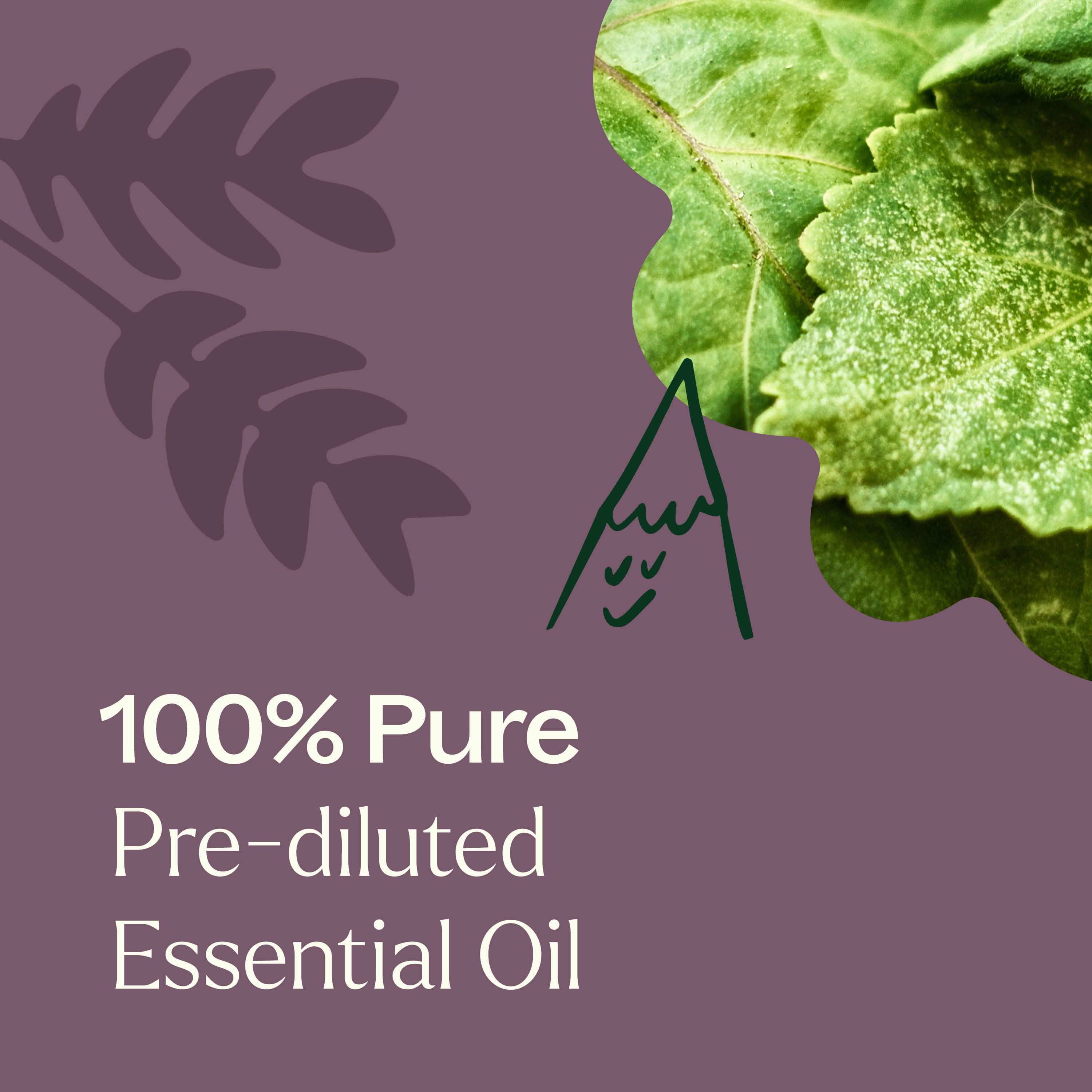 Aged Dark Patchouli Essential Oil Pre-Diluted Roll-On 10 ml - My American Goods