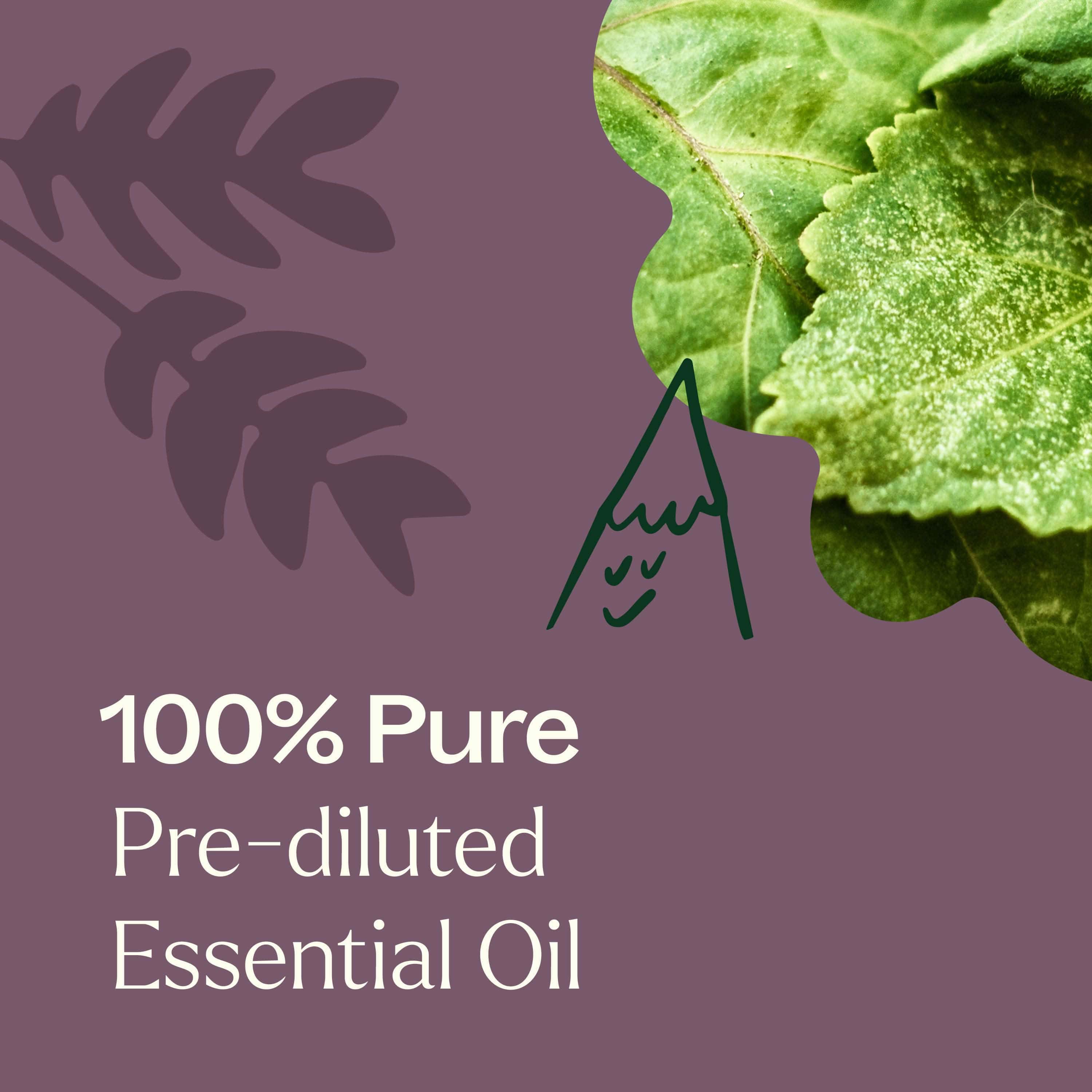 Aged Dark Patchouli Essential Oil Pre-Diluted Roll-On 10 ml - My American Goods