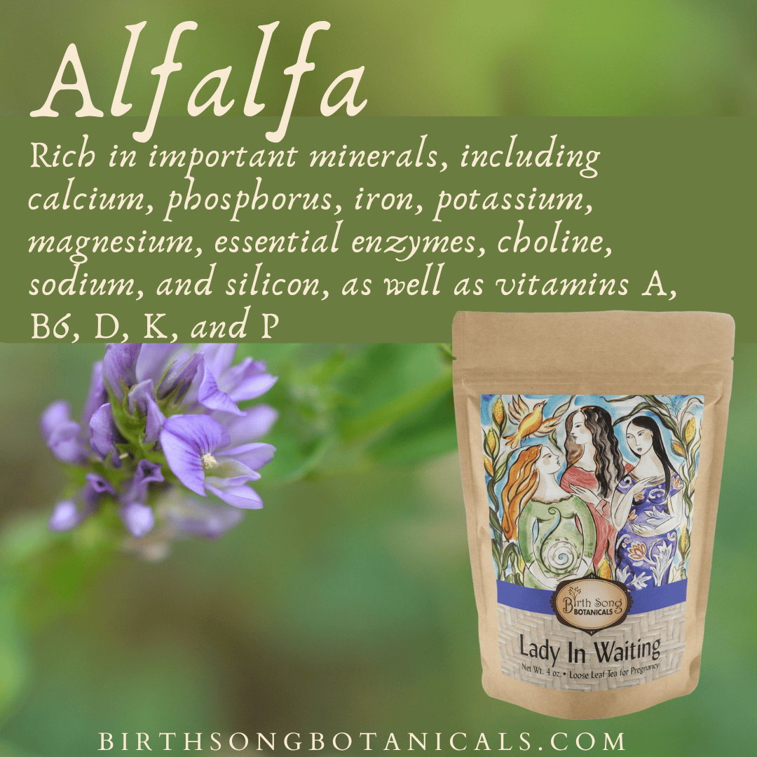 Lady in Waiting Herbal Pregnancy Tea Supports a Healthy Pregnancy* with Organic Red Raspberry Leaf 4 oz. - My American Goods