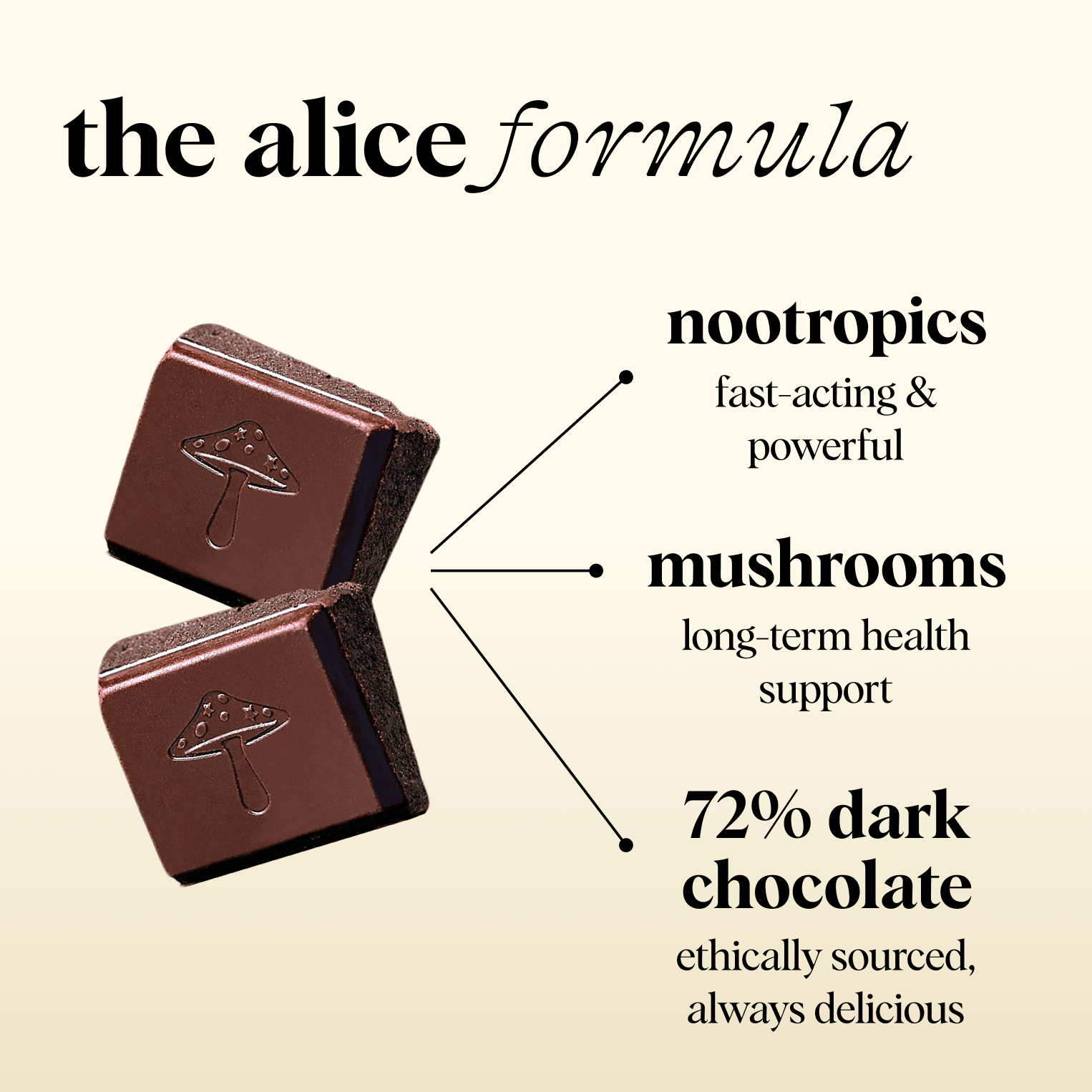 alice mushrooms Vitamins & Supplements Zen-X Functional Mushroom Chocolates