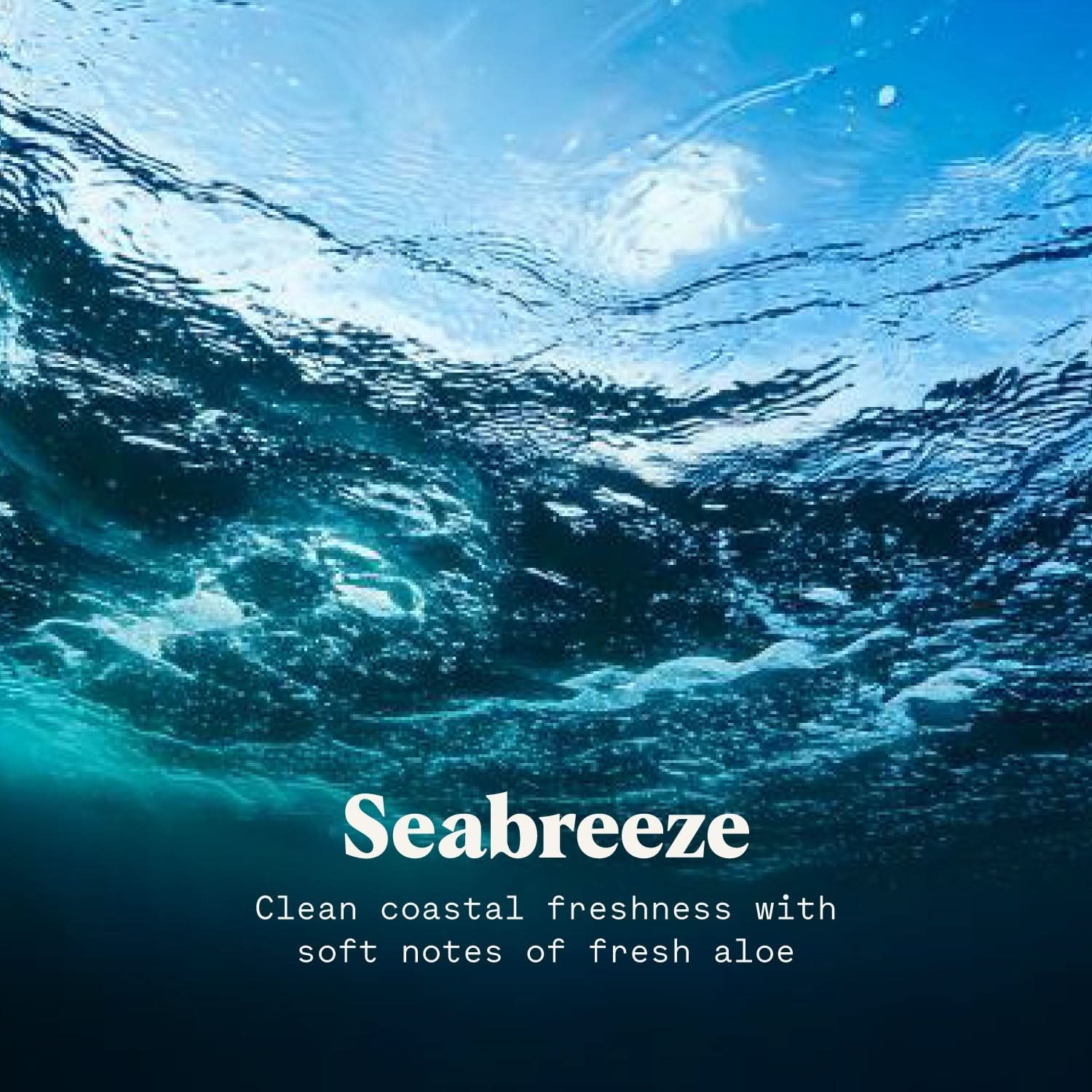 Body Powder - My American Goods