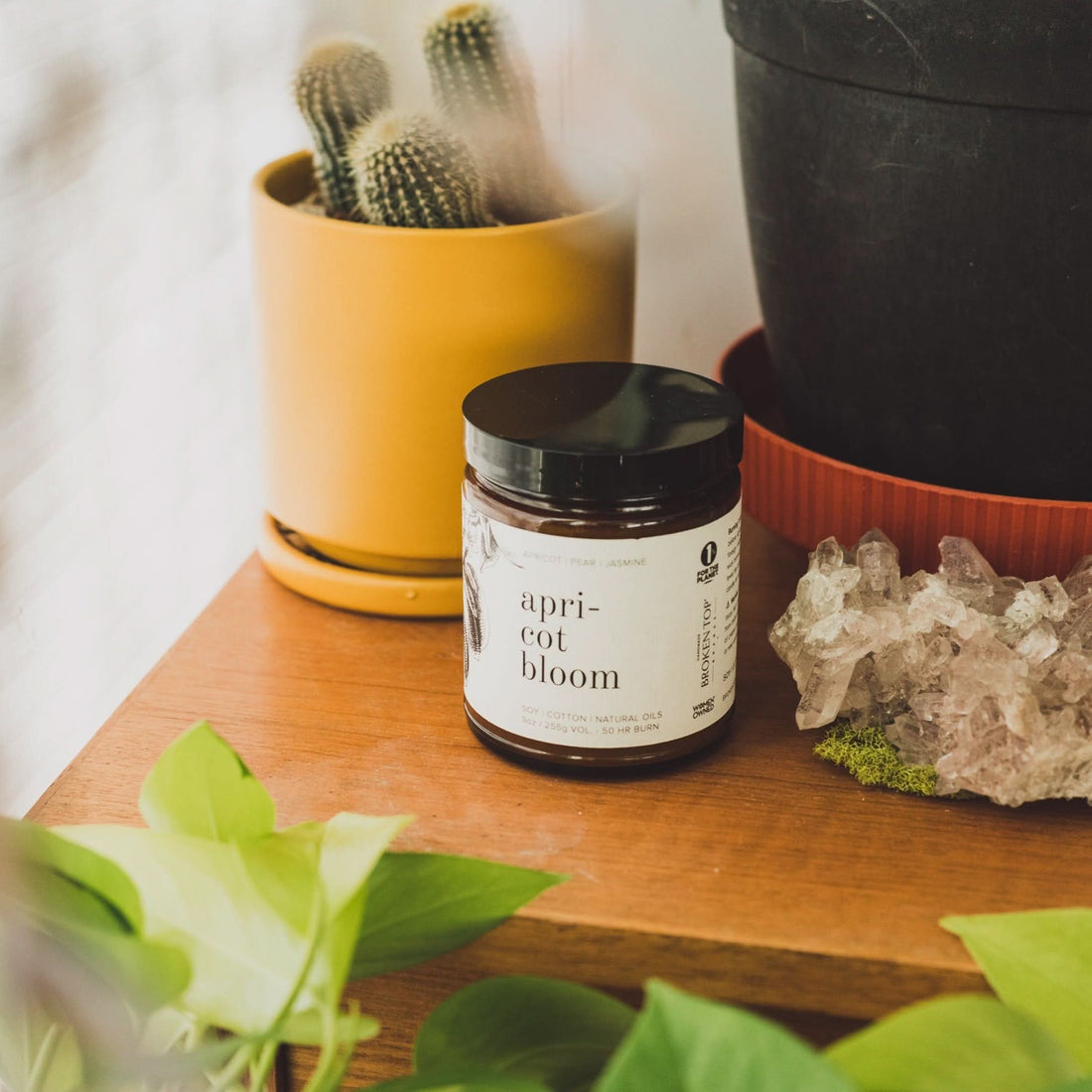 Apricot Bloom Soy Candle - My American Goods