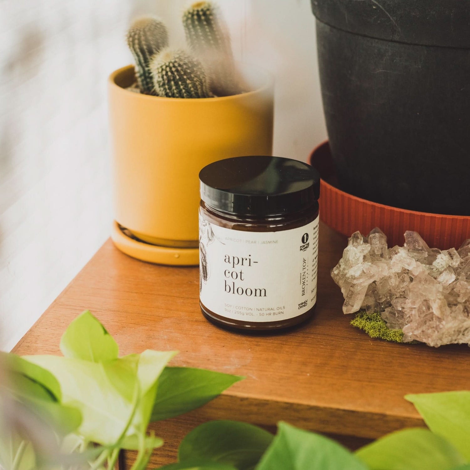 Apricot Bloom Soy Candle - My American Goods