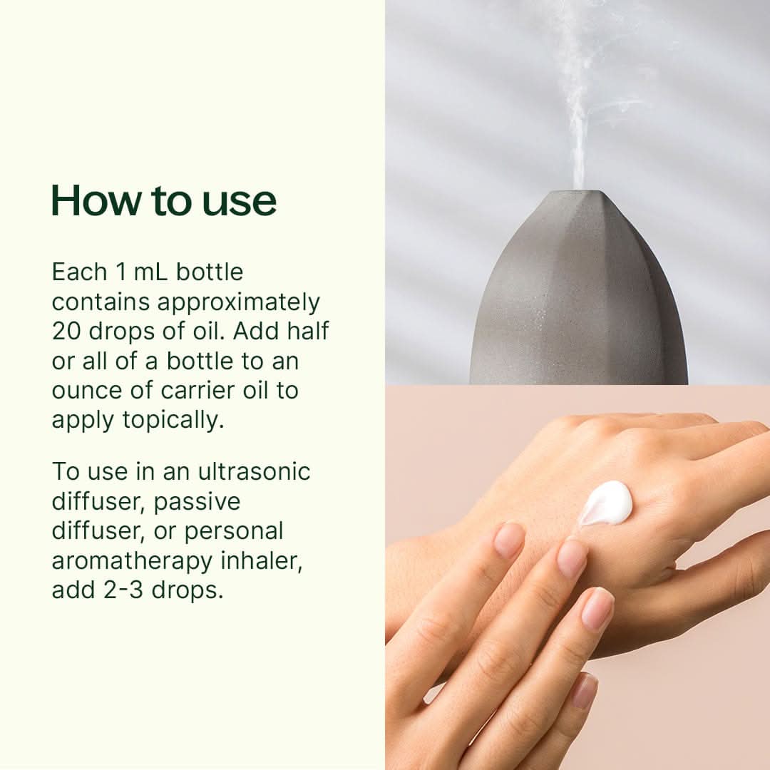 Plant Therapy Essential Oil Aroma Flight 10 Count Set