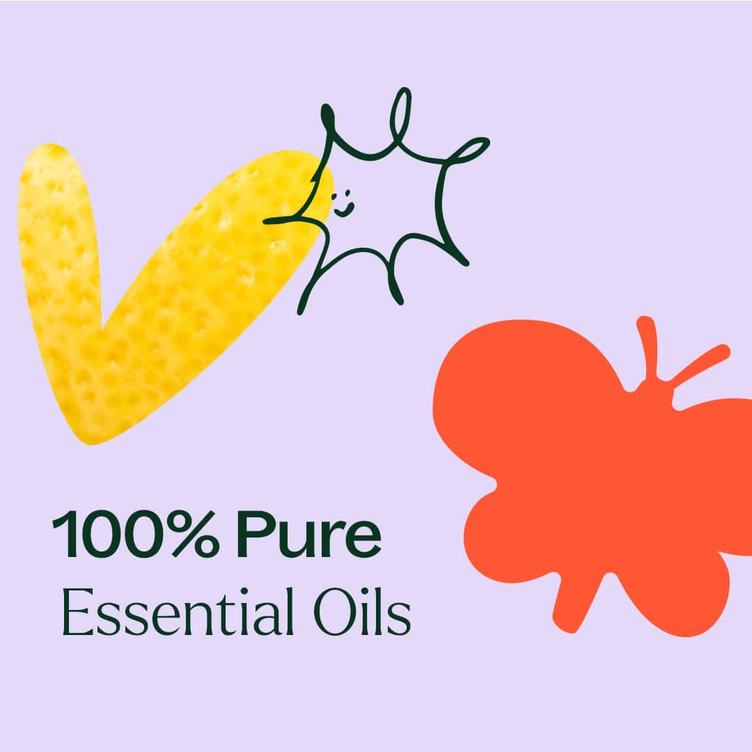 Plant Therapy Essential Oil Aroma Flight 10 Count Set
