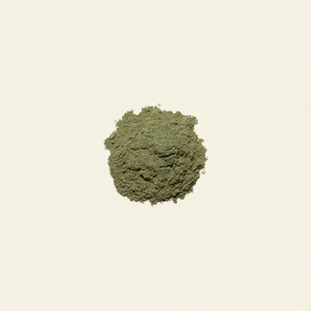 Ash + Stone Skincare Matcha Mellow Mask