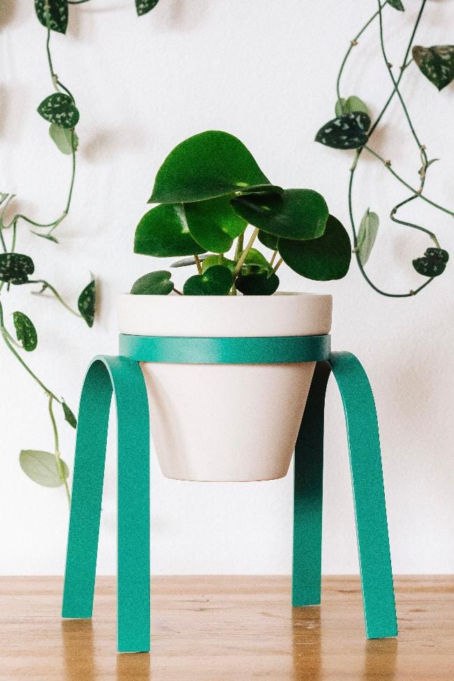 Carter + Rose Teal / Porcelain Metal Plant Stand with Pot