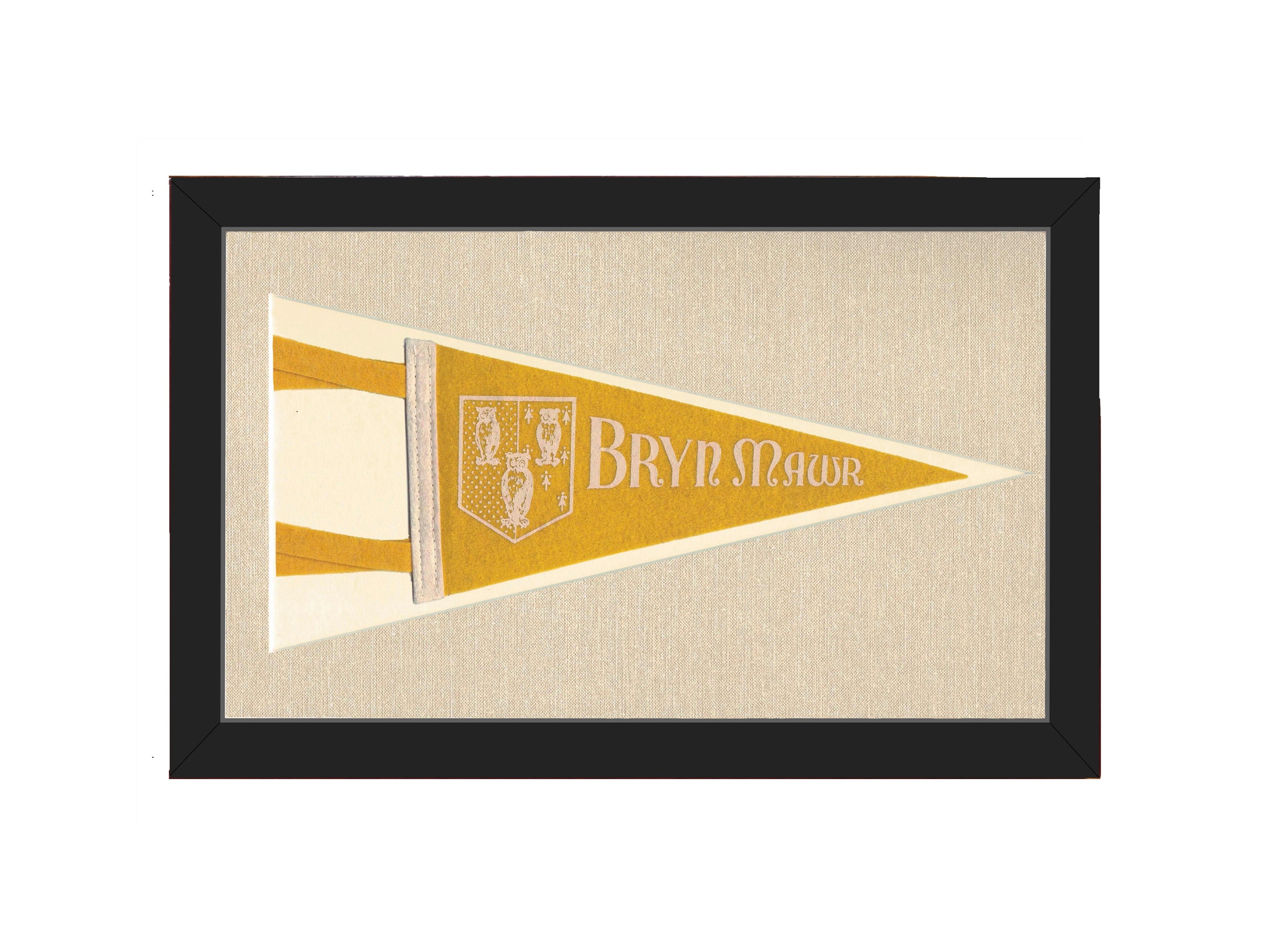 Vintage Bryn Mawr College Pennant