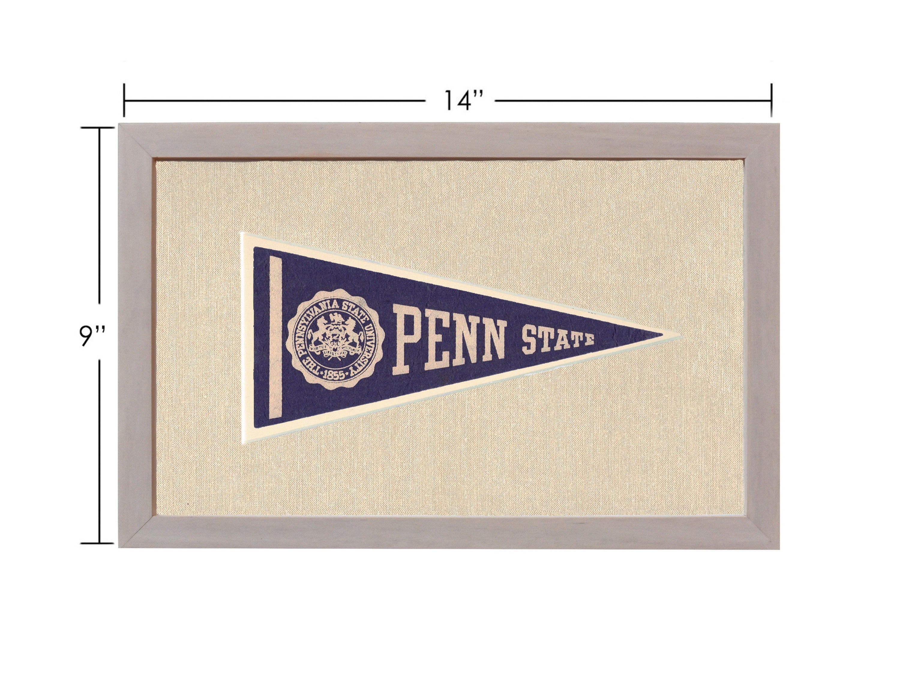 Vintage Penn State Pennant