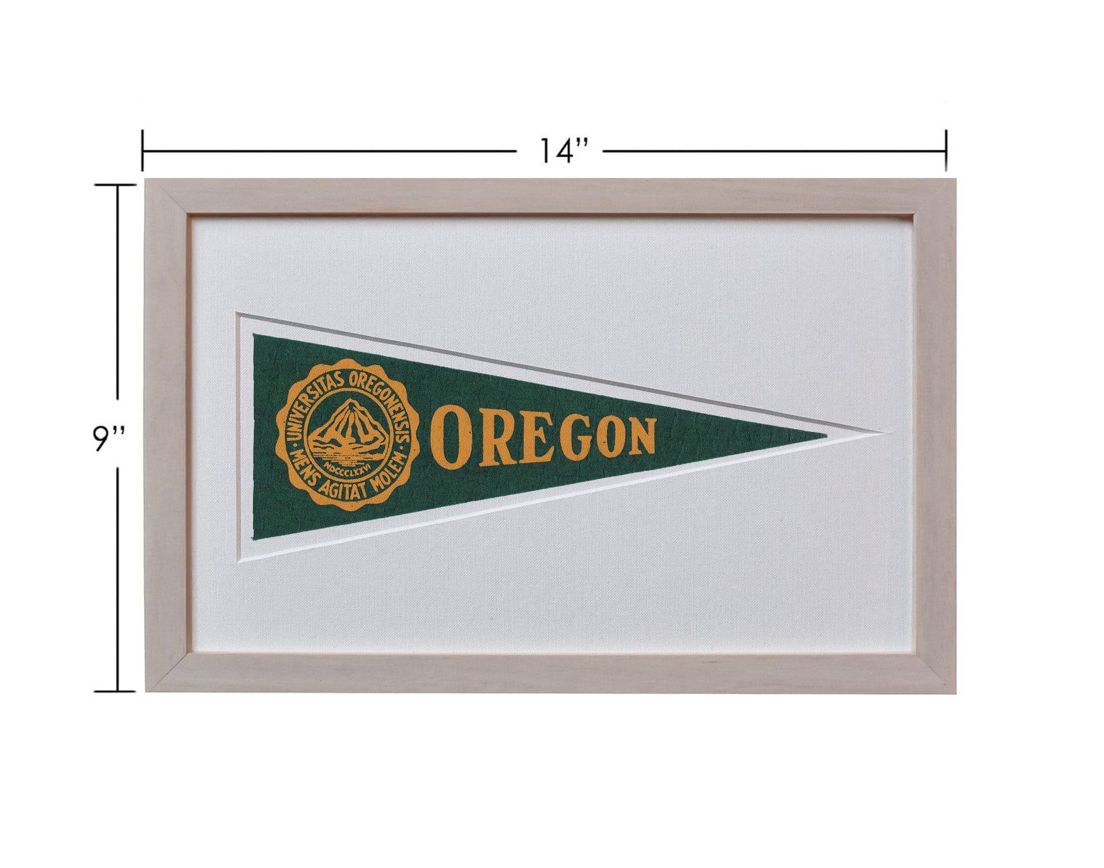 Americana Memories Vintage University of Oregon Hormel Pennant