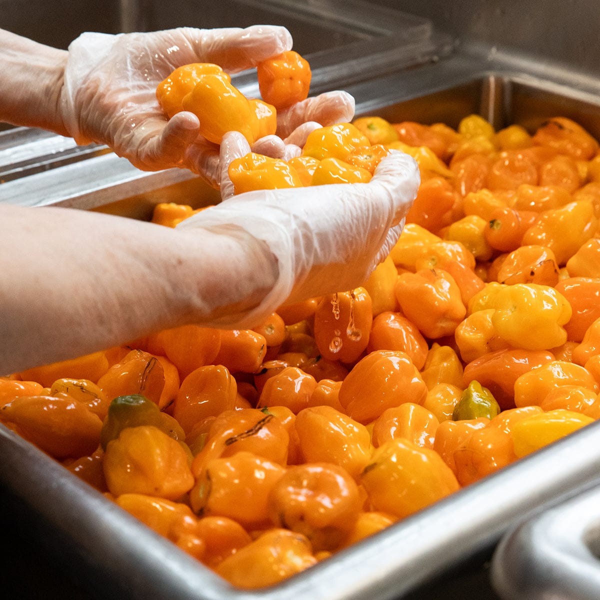Blake Hill Preserves jam Mango Habanero