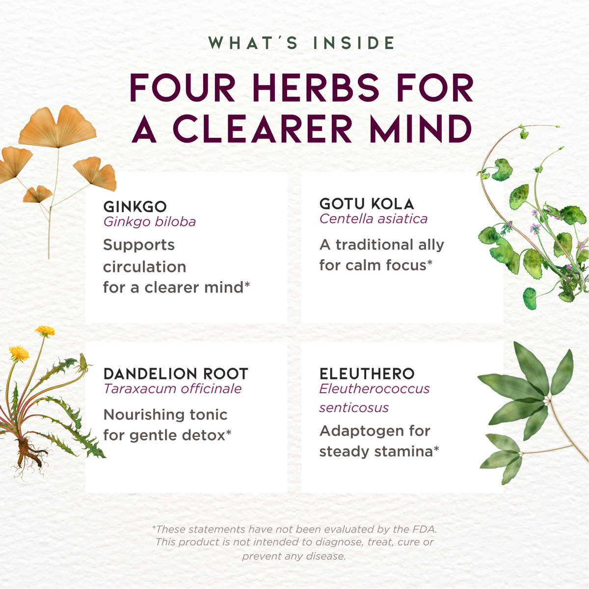 Genius Juice, Cognitive Aid