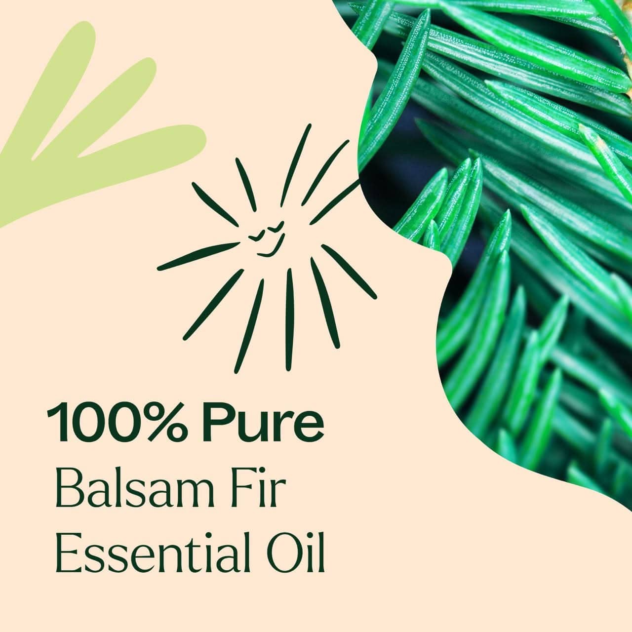 Balsam Fir Essential Oil - My American Goods