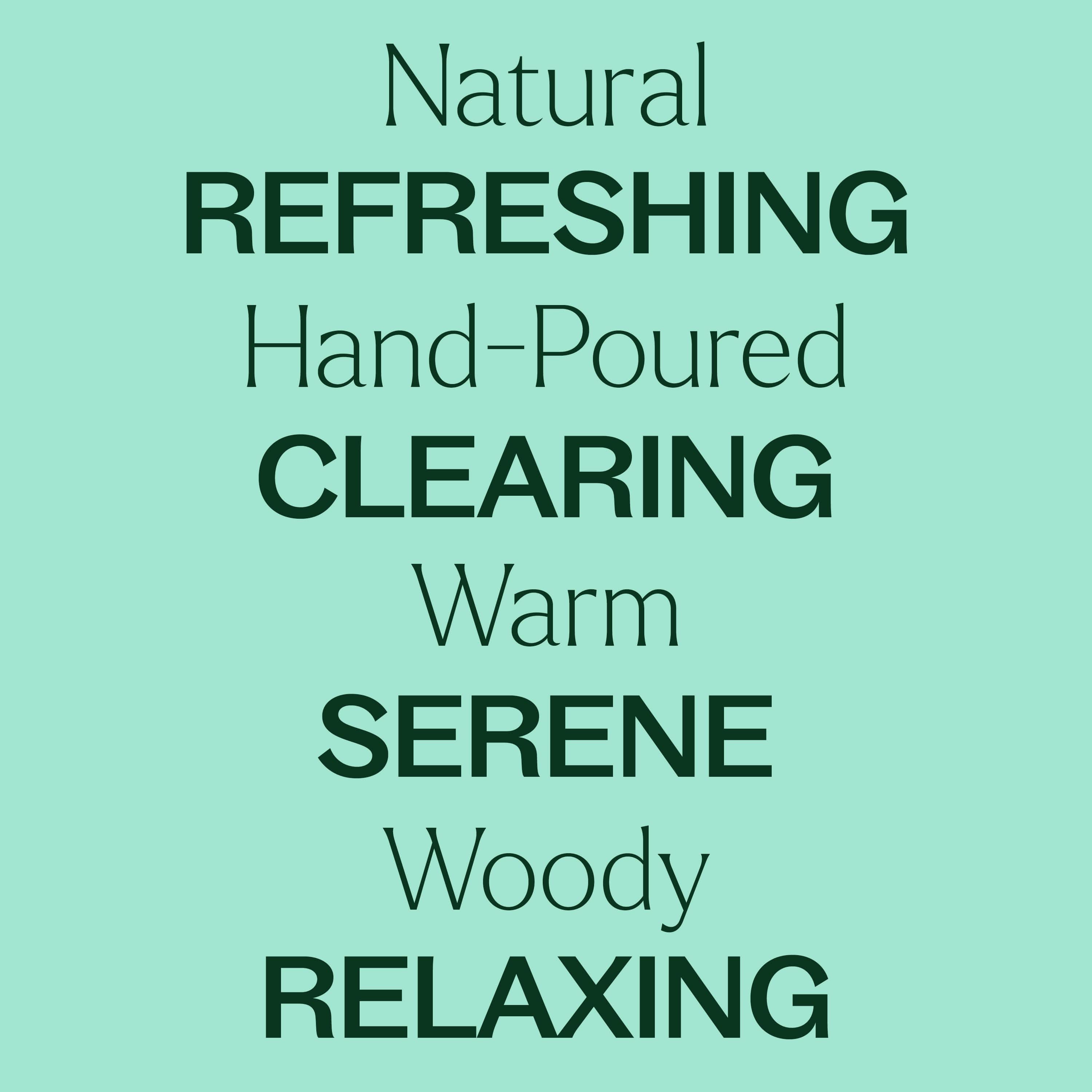 Balsam Noir Naturally Scented Candle - My American Goods