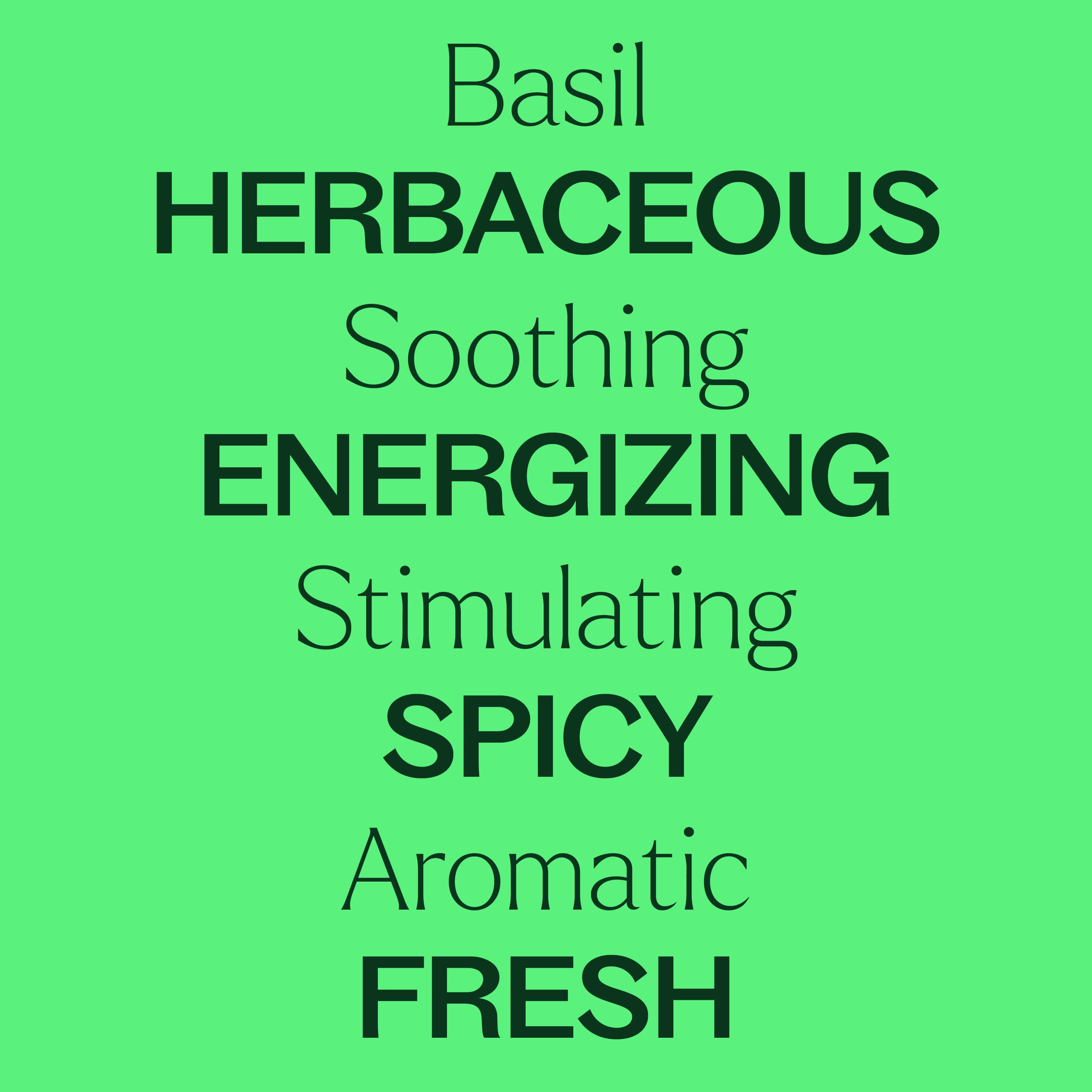Basil Linalool Essential Oil - My American Goods