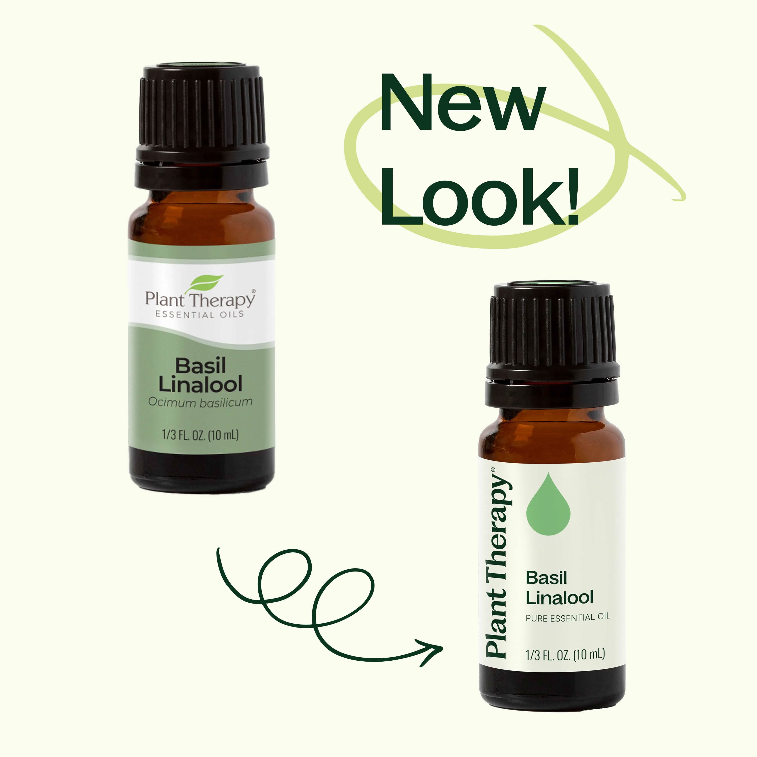 Basil Linalool Essential Oil - My American Goods