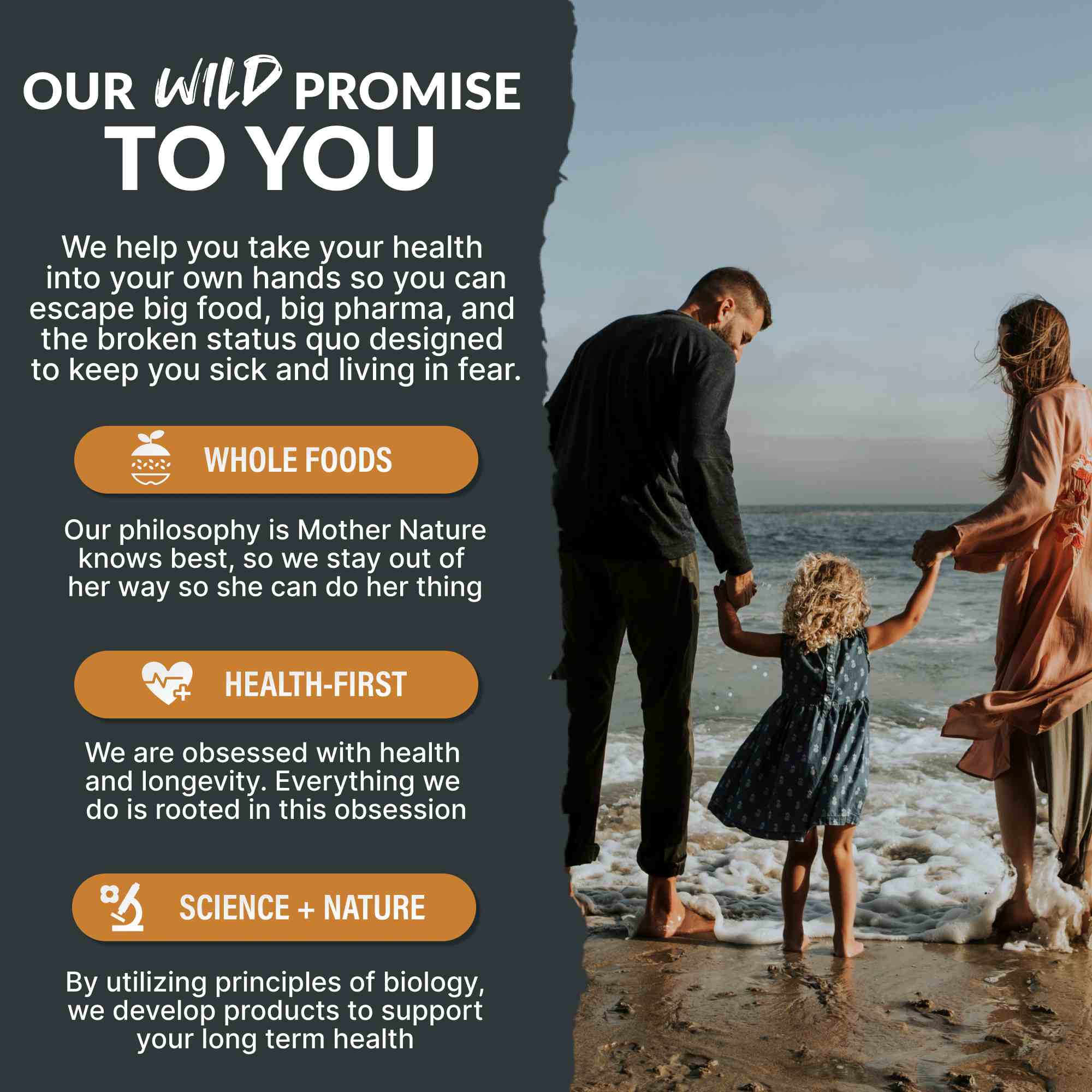 Beef Protein, 20 servings – Grass-Fed Muscle Recovery Protein