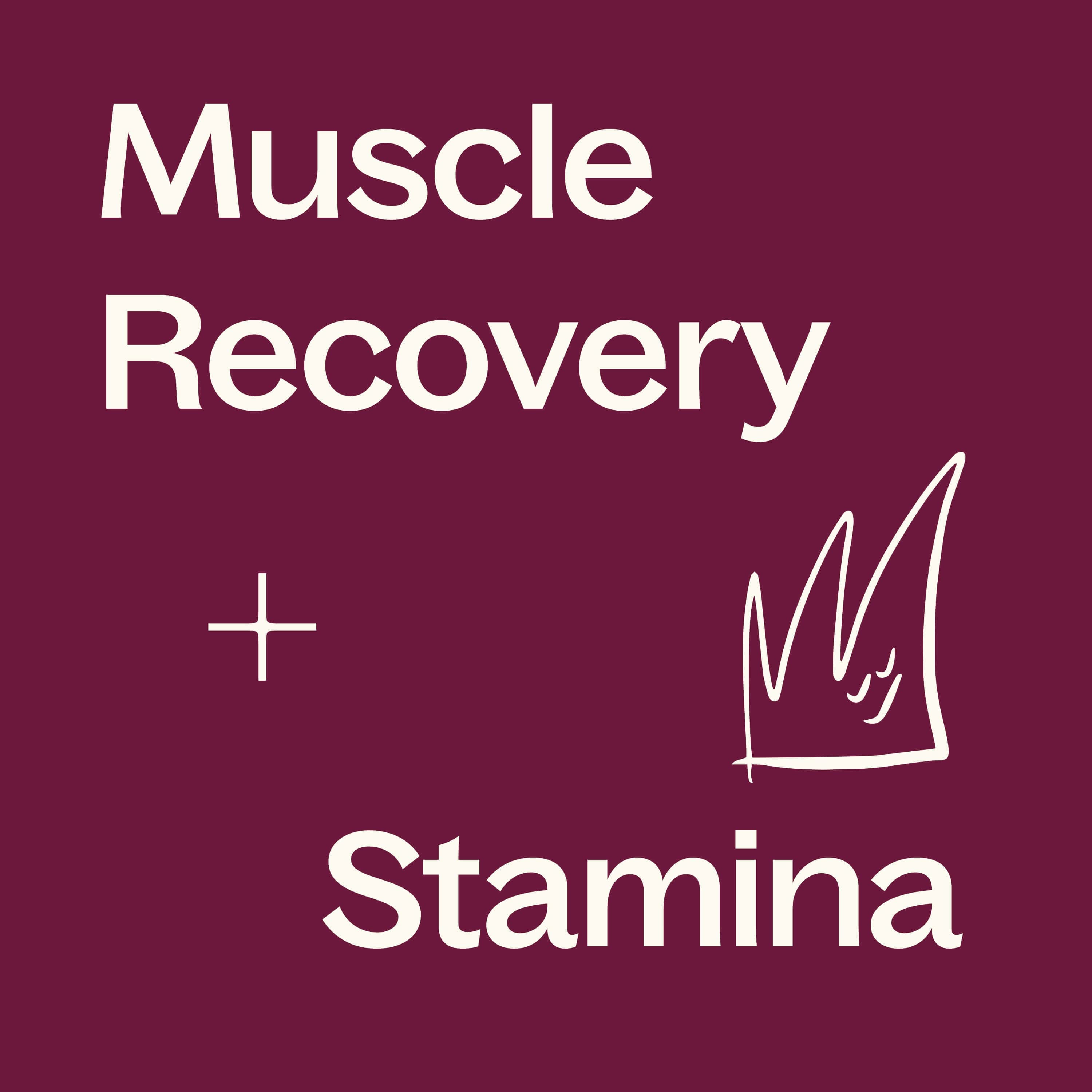 Beet Root Herbal Supplement - 120 Capsules - My American Goods