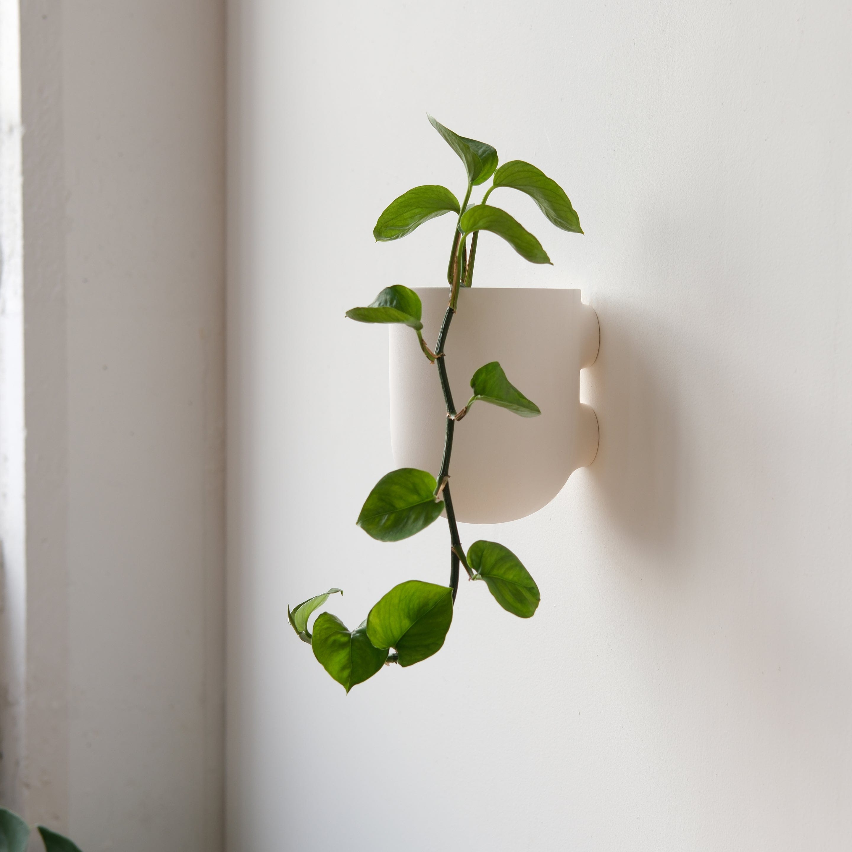 Misewell Pots & Planters Bender Wall Planter