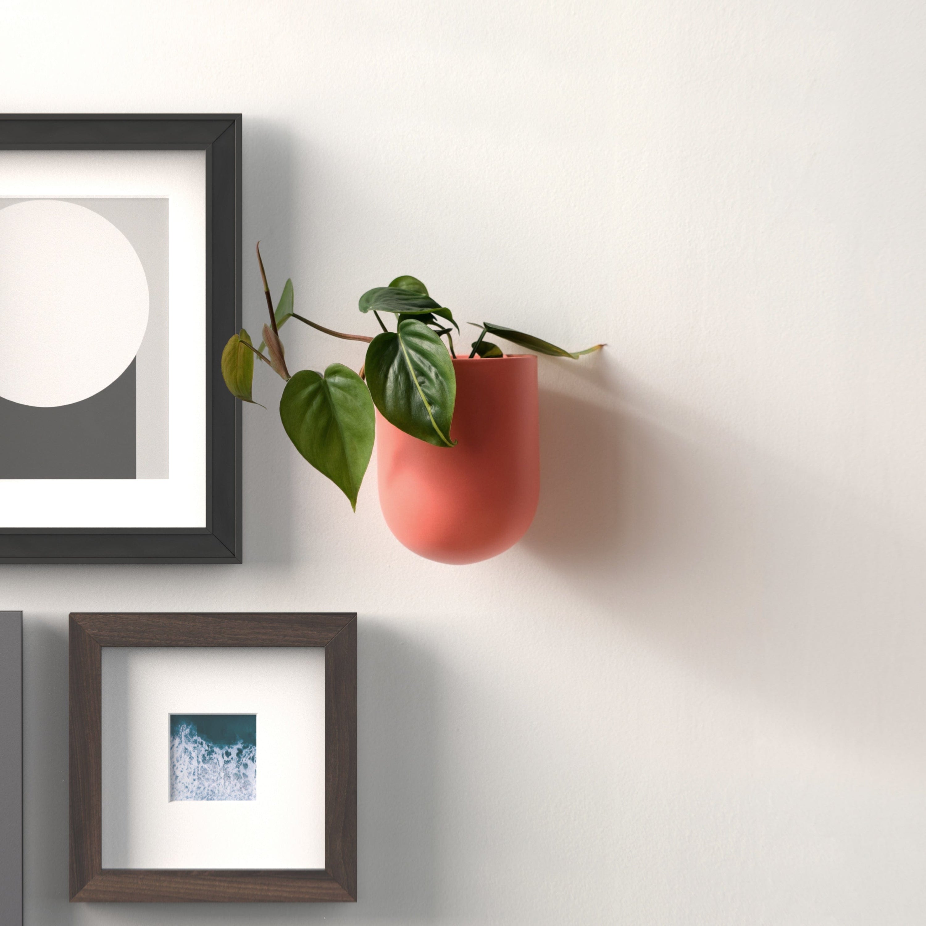 Misewell Pots & Planters Bender Wall Planter