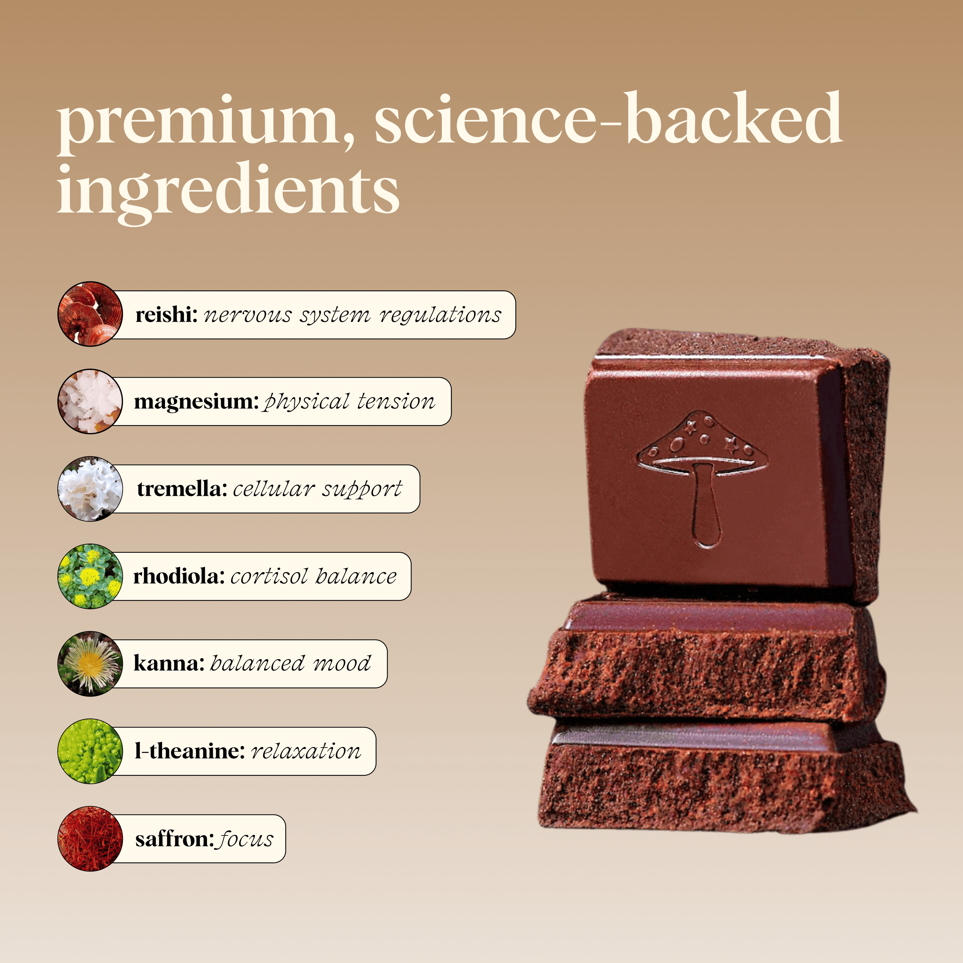 Zen-X Functional Mushroom Chocolates