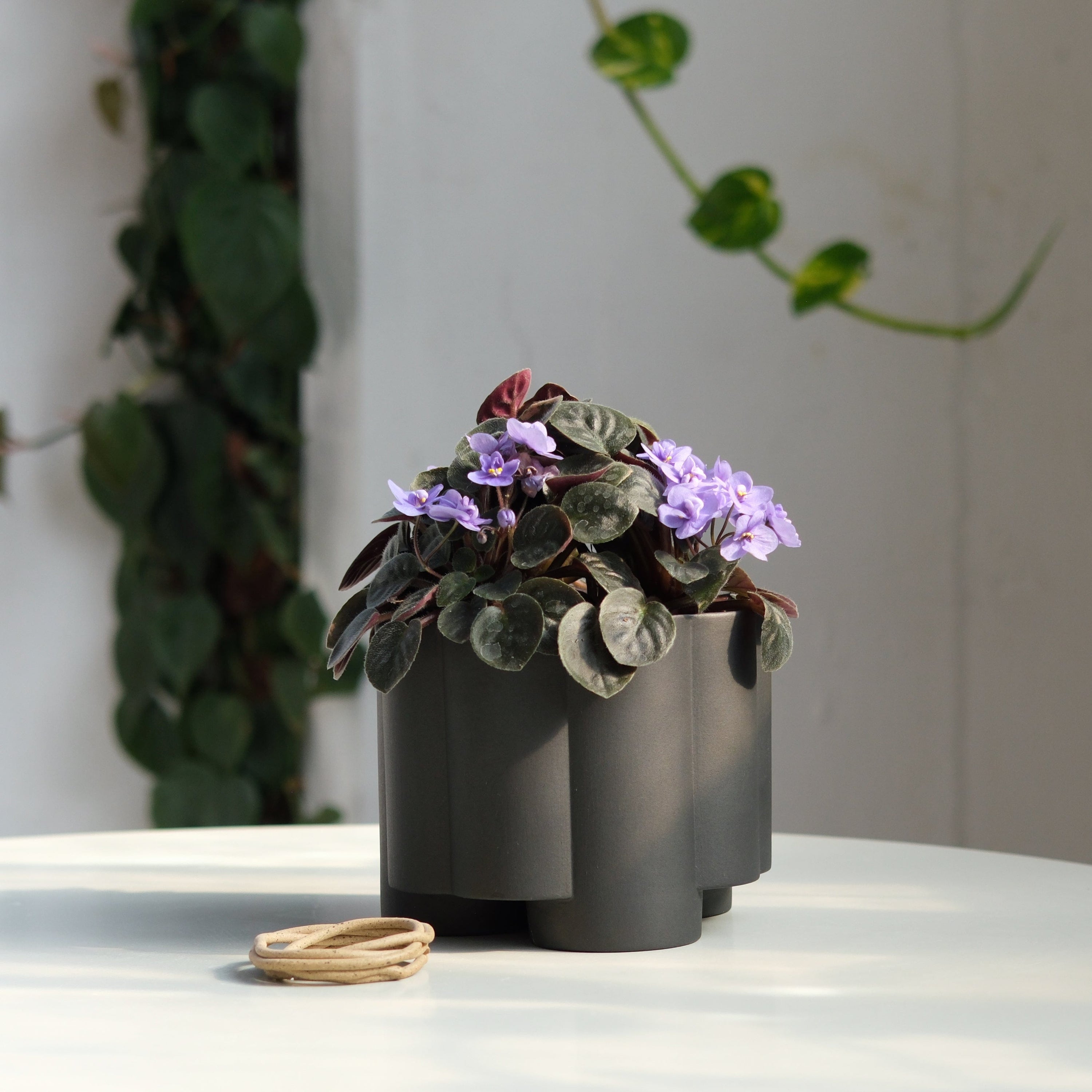 Misewell Pots & Planters Black Pillar Planter