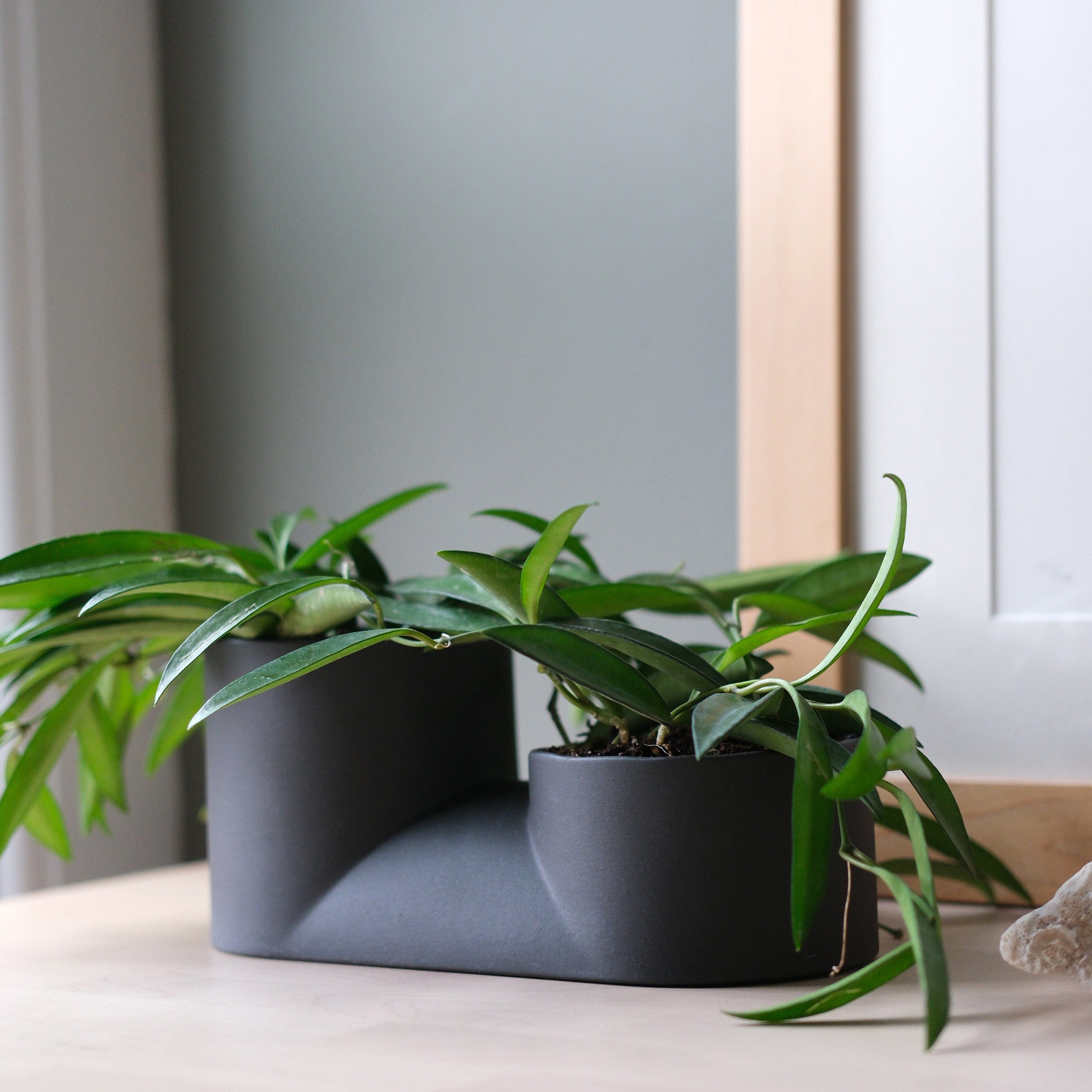 Misewell Pots & Planters Double Planter