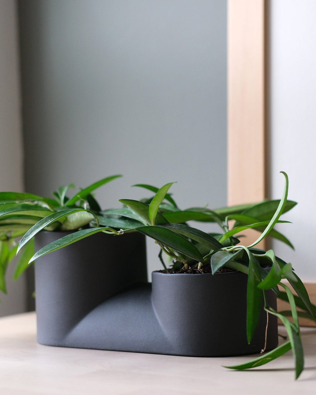 Double Planter