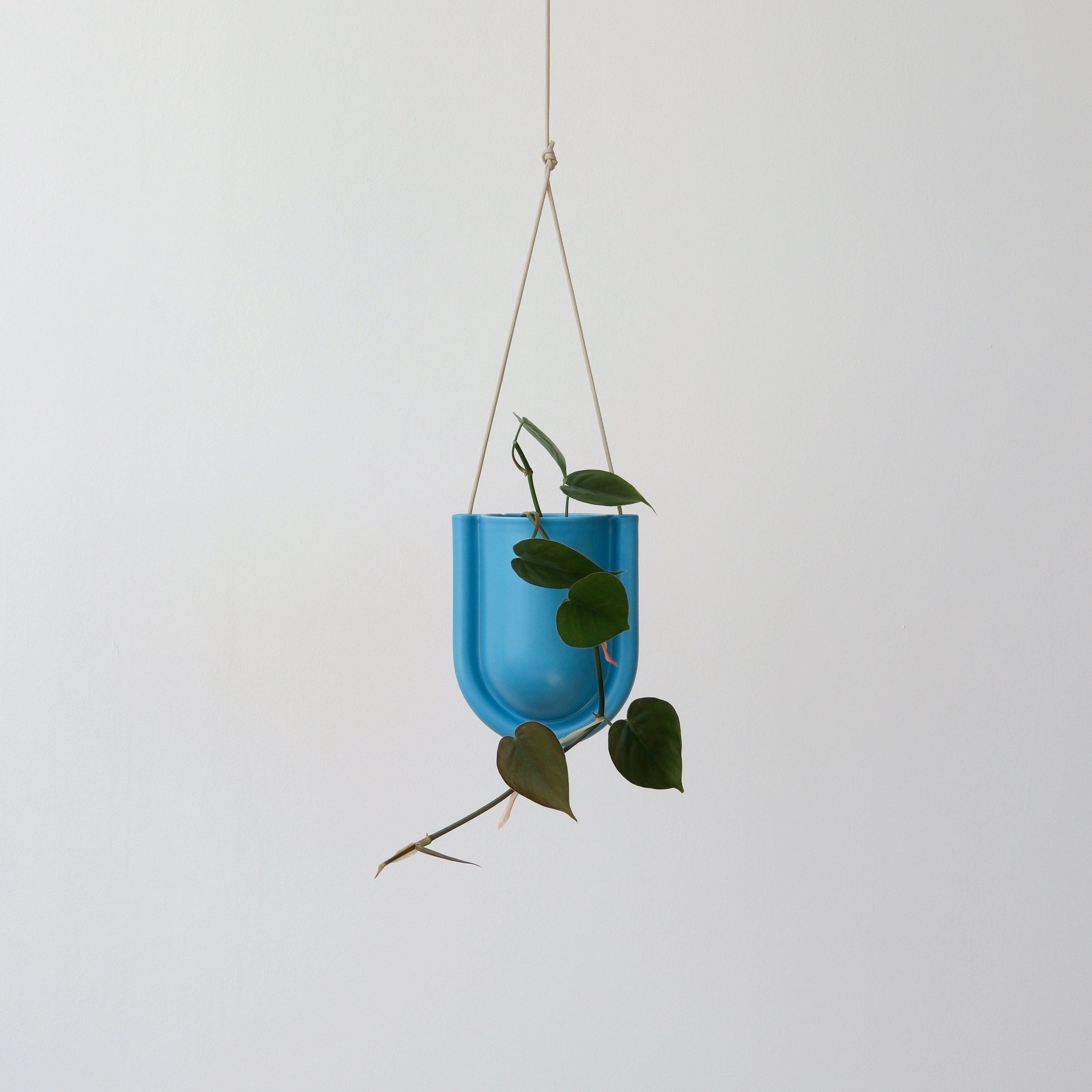 Misewell Pots & Planters Blue Portico Planter