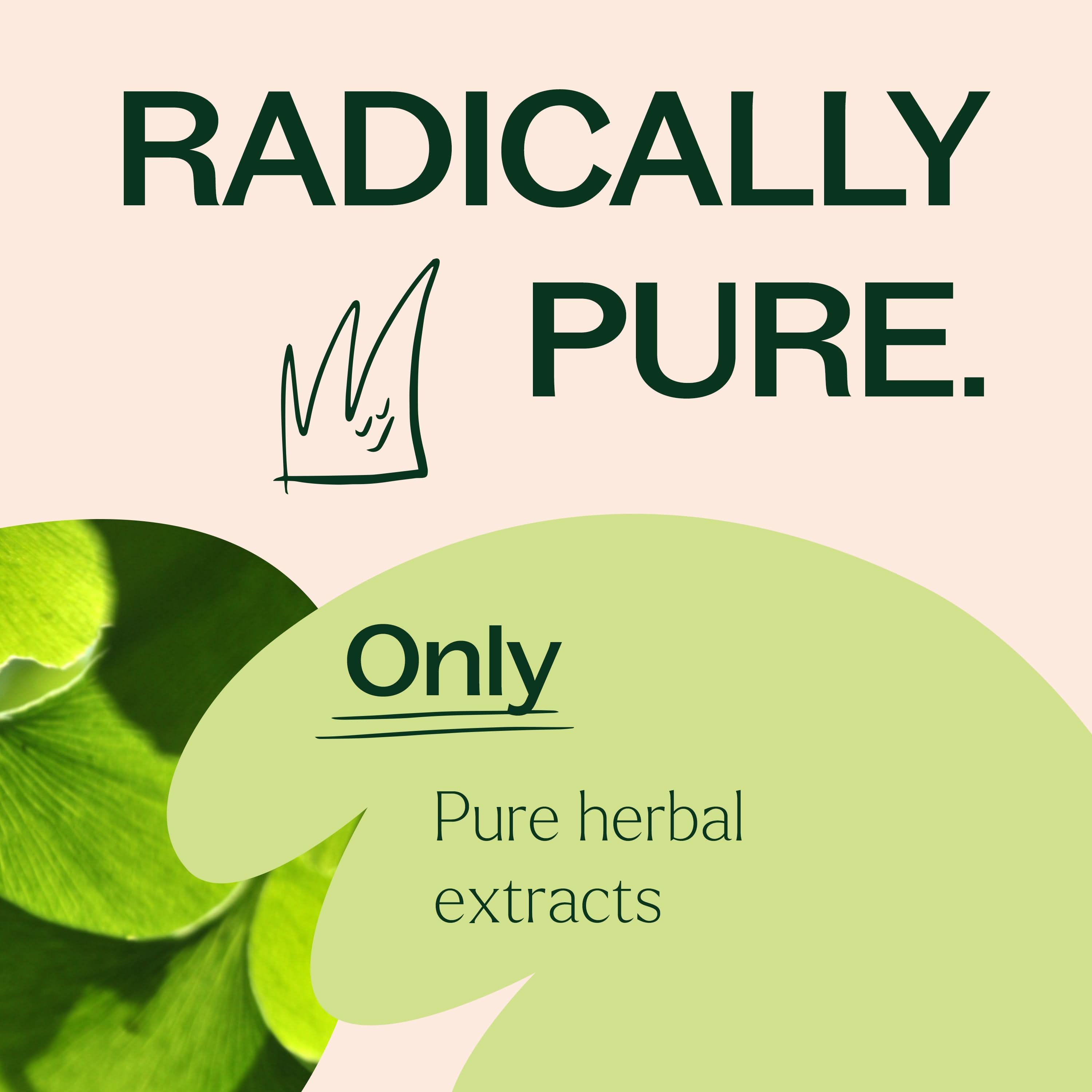 Ginkgo Biloba Herbal Supplement - 120 Capsules - My American Goods