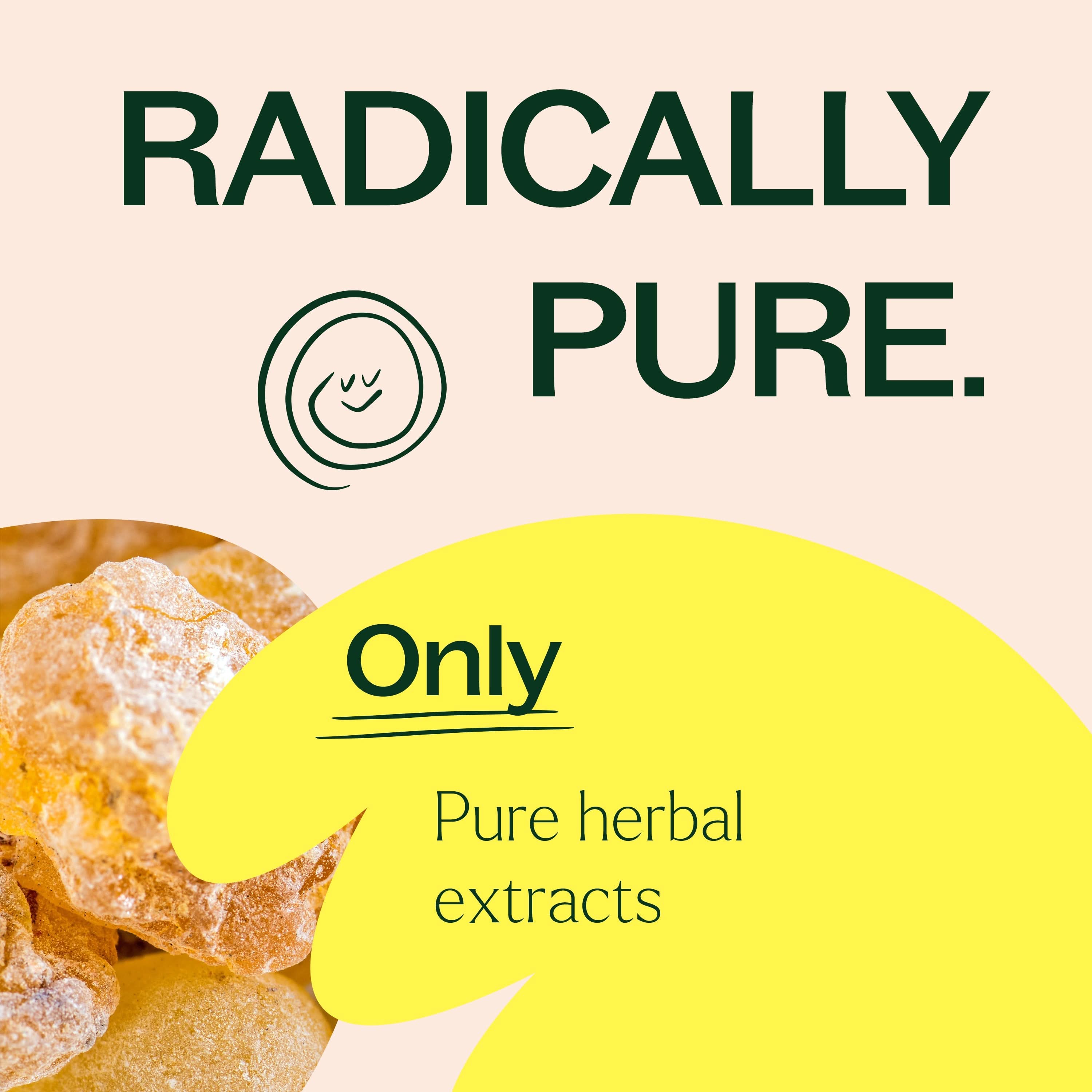 Boswellia Extract – Pure Plant Tradition - My American Goods